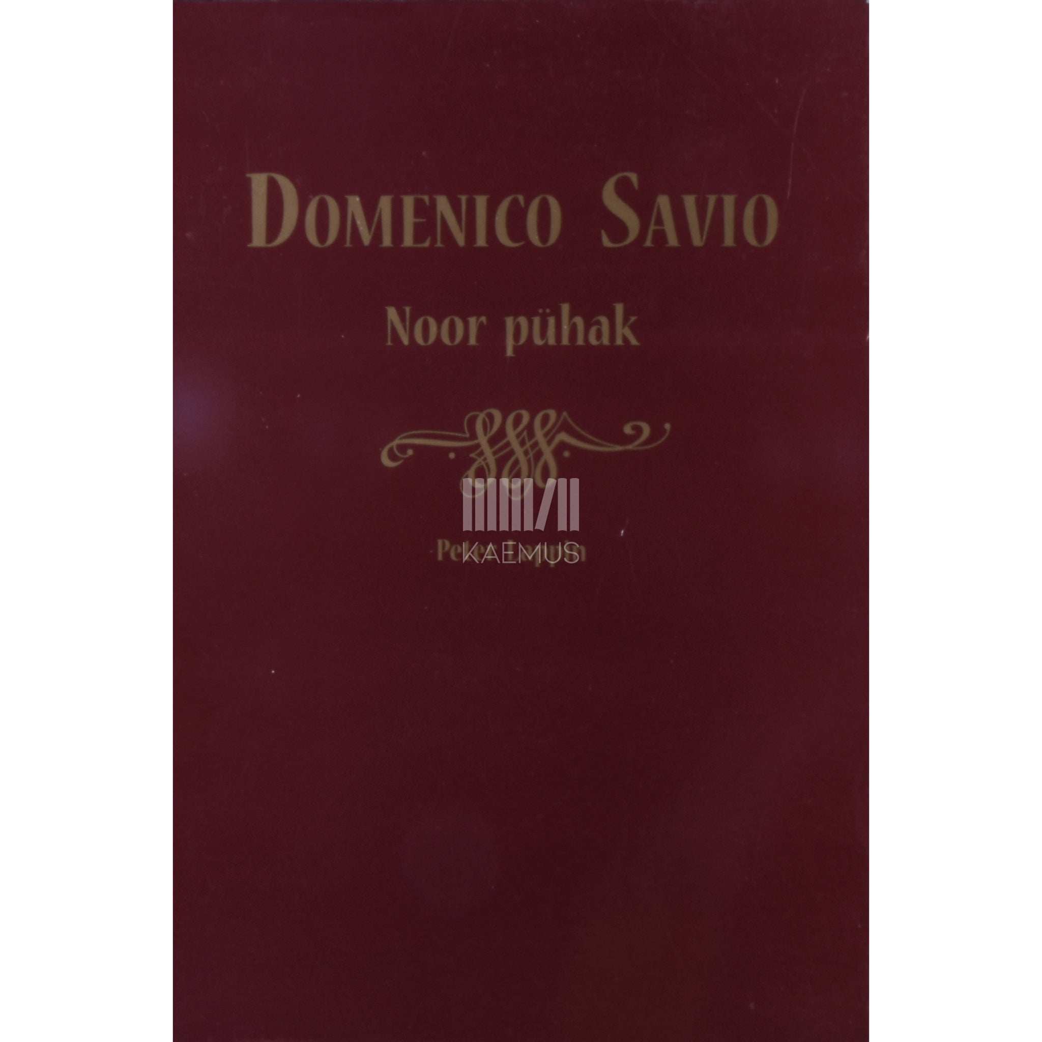 Peter Lappin Domenico Savio, noor pühak