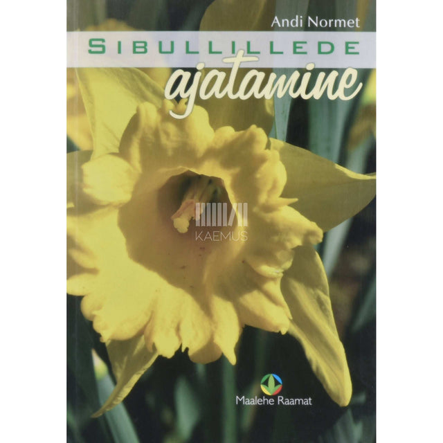 Andi Normet - Sibullillede ajatamine