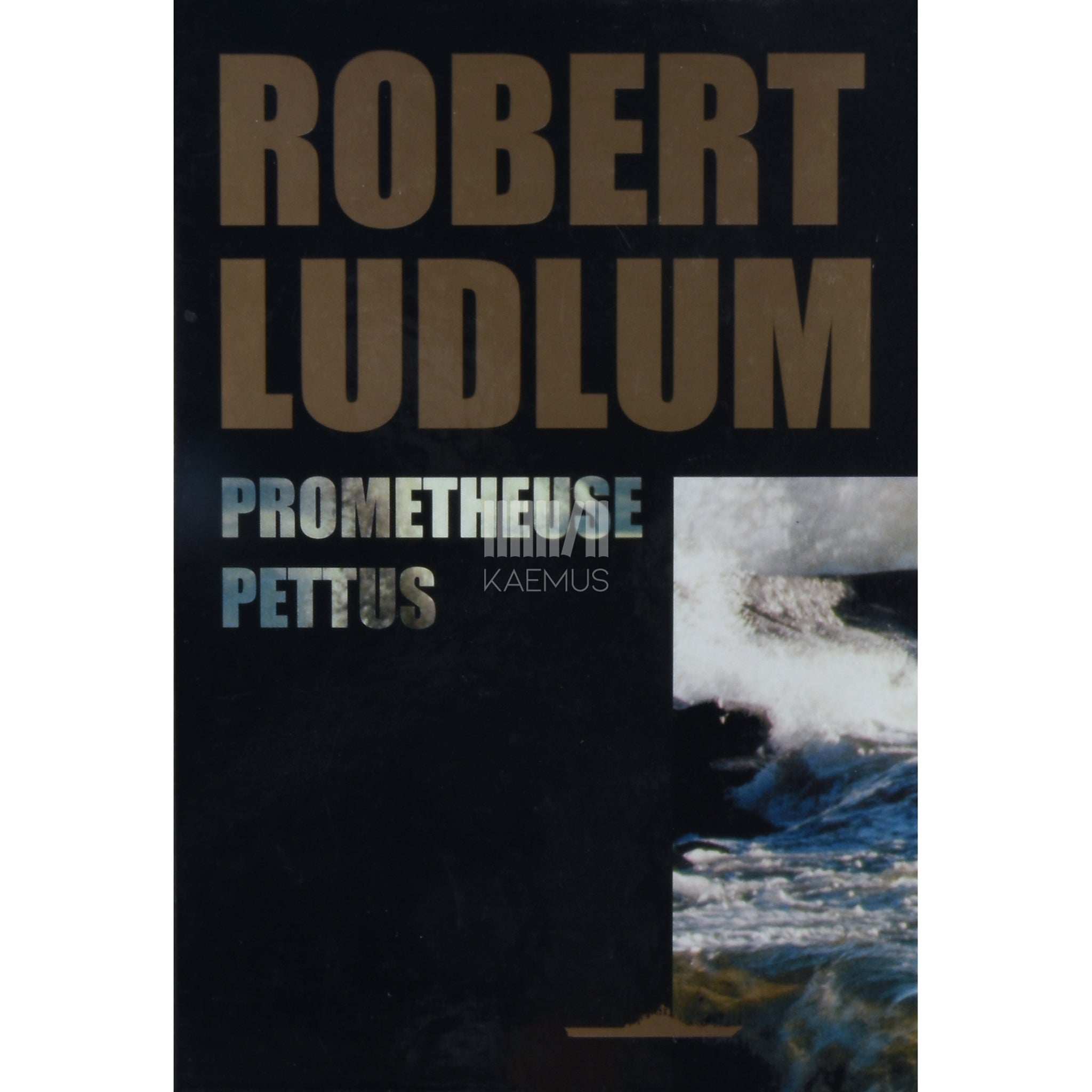Robert Ludlum Prometheuse pettus