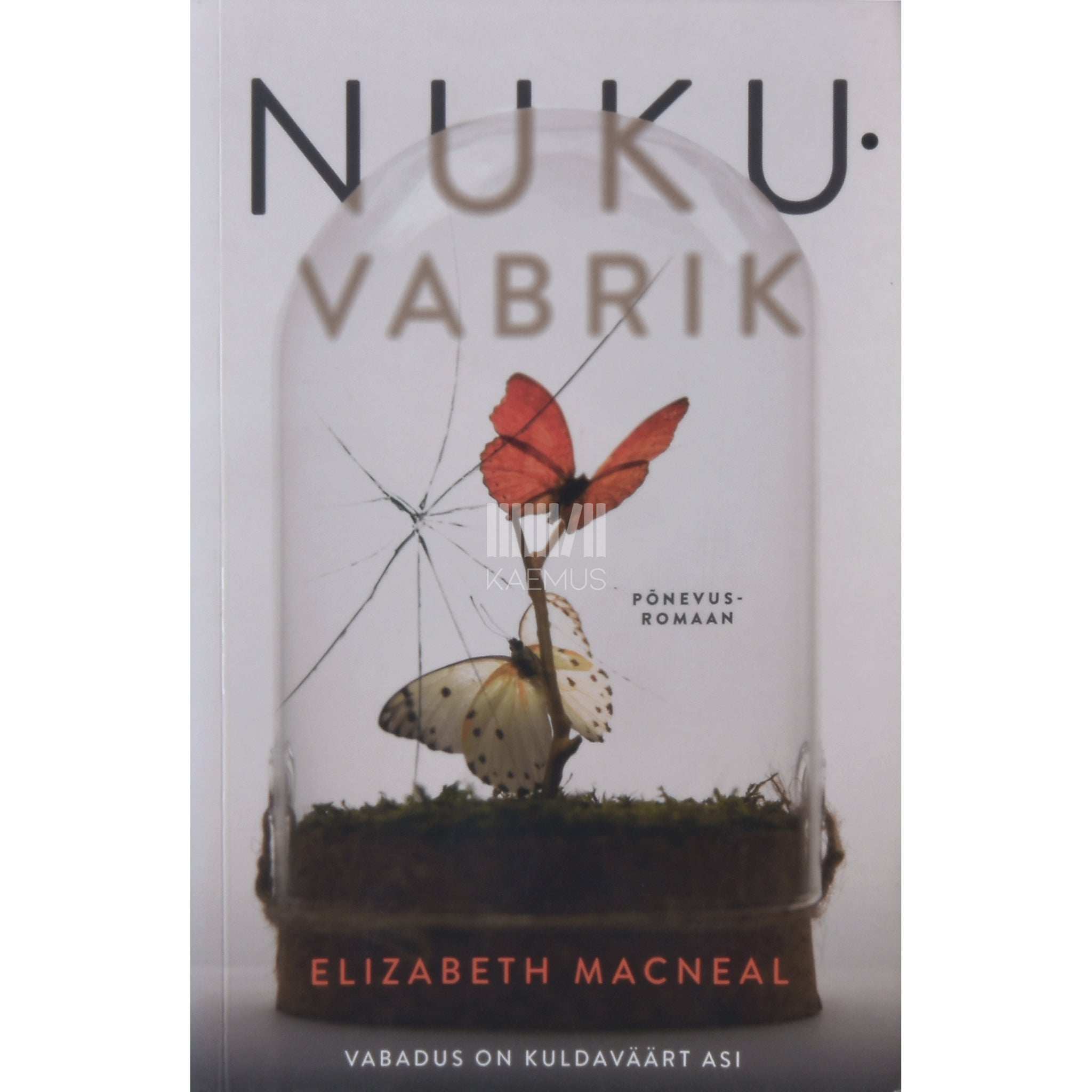 Elizabeth Macneal Nukuvabrik