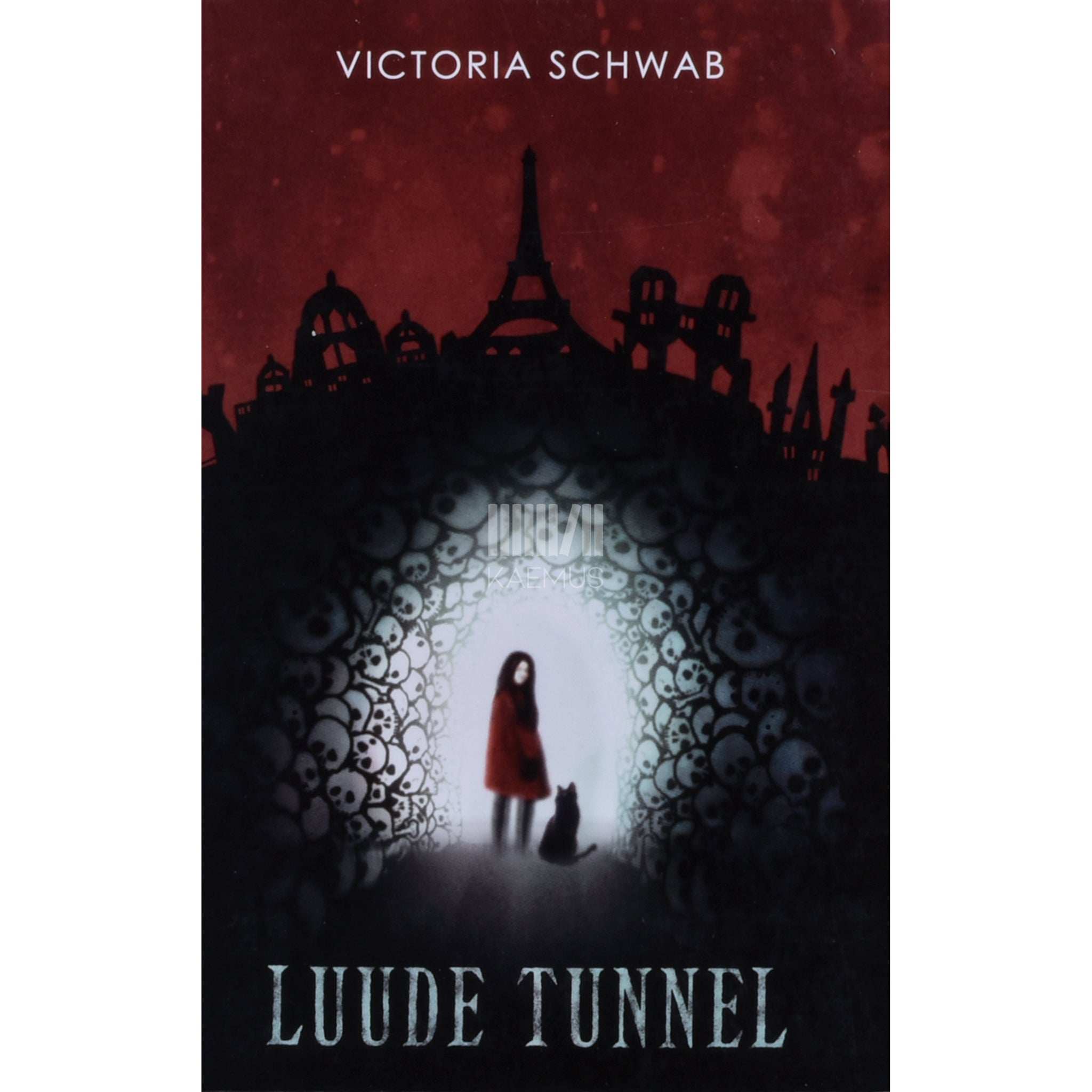 Victoria Schwab Luude tunnel