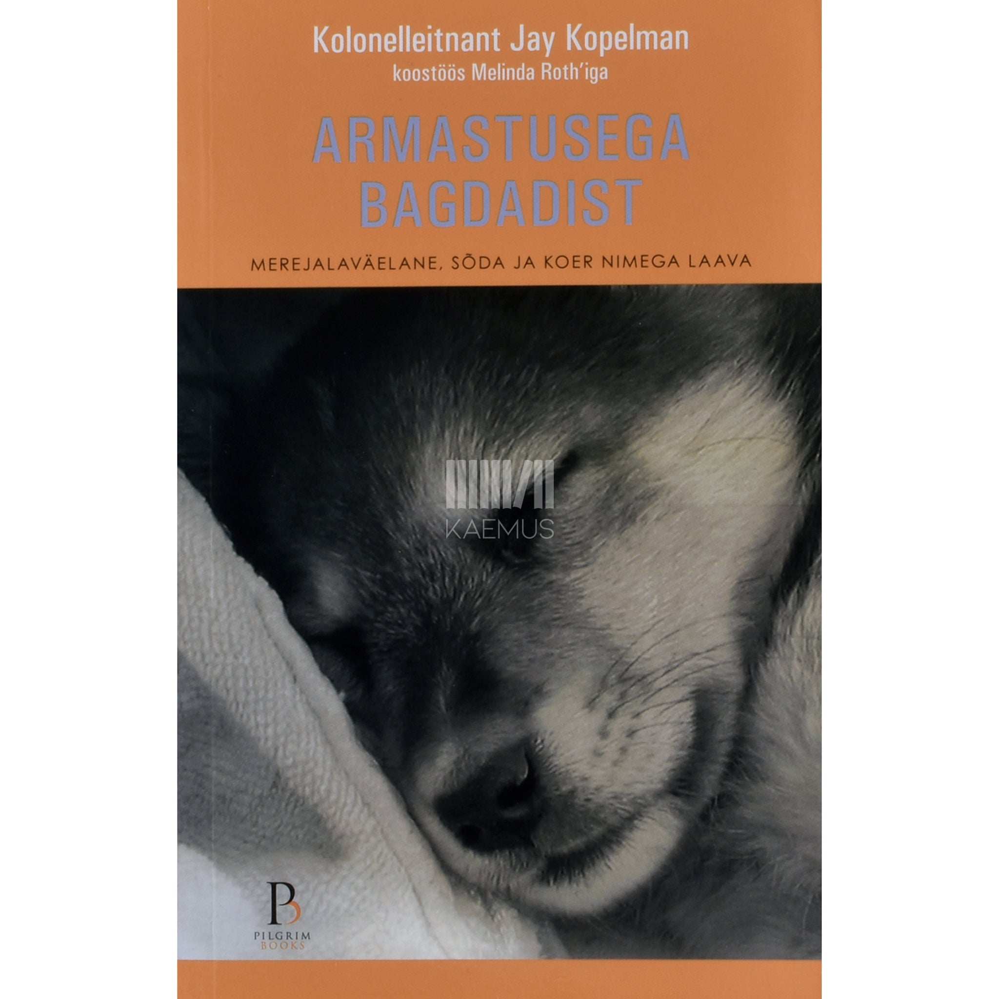 Jay Kopelman Armastusega Bagdadist. Merejalaväelane, sõda ja koer nimega Laava