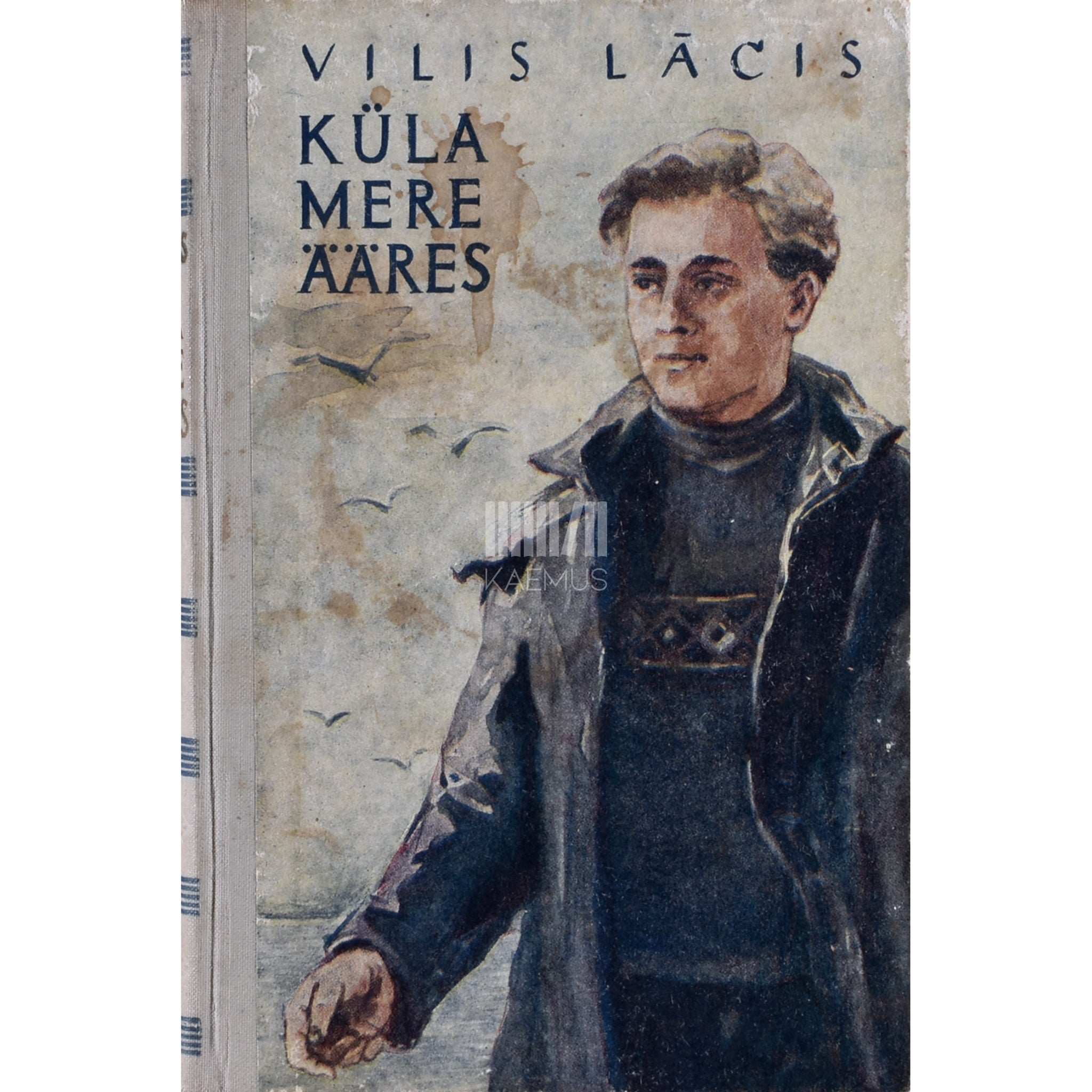 Vilis Lâcis Küla mere ääres