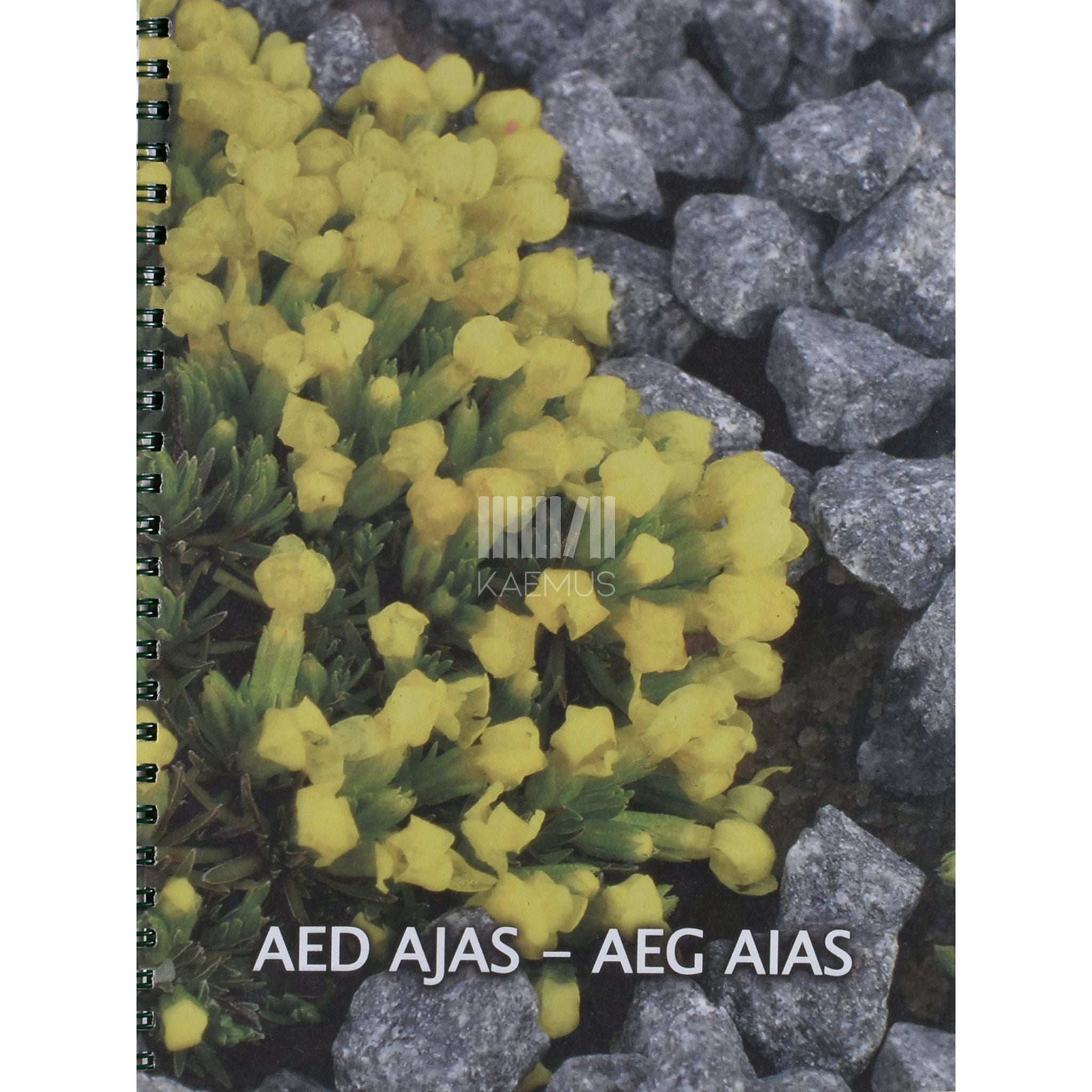... Aed ajas - aeg aias. Aiakalender