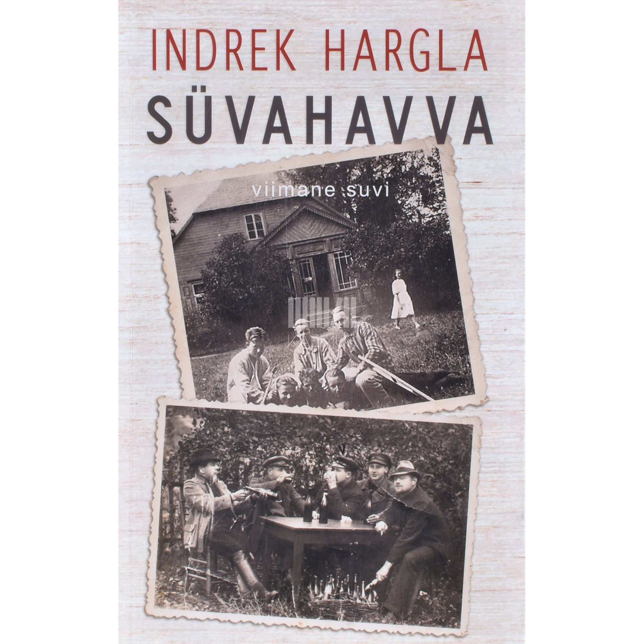 Indrek Hargla Süvahavva. Viimane suvi