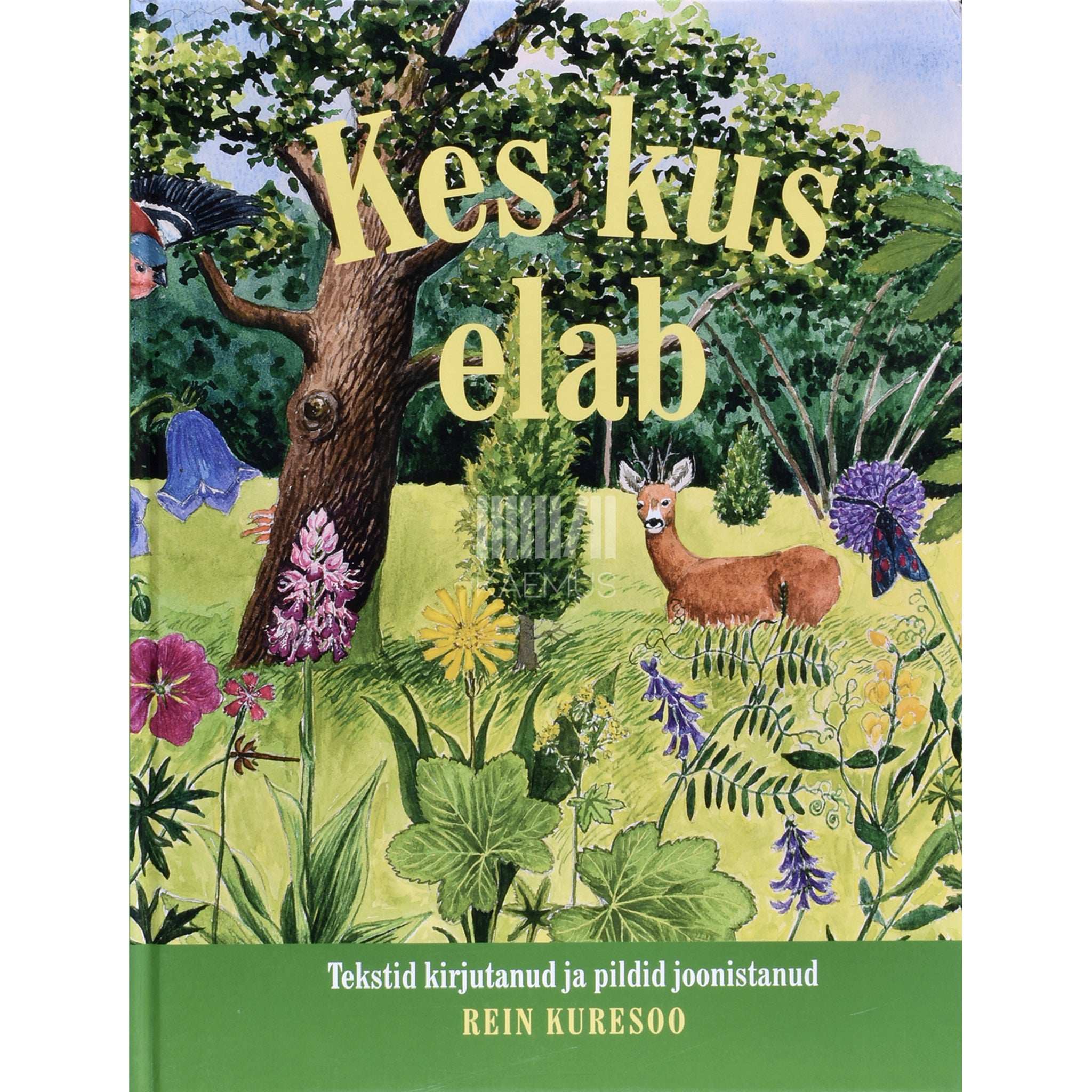 Rein Kuresoo Kes kus elab