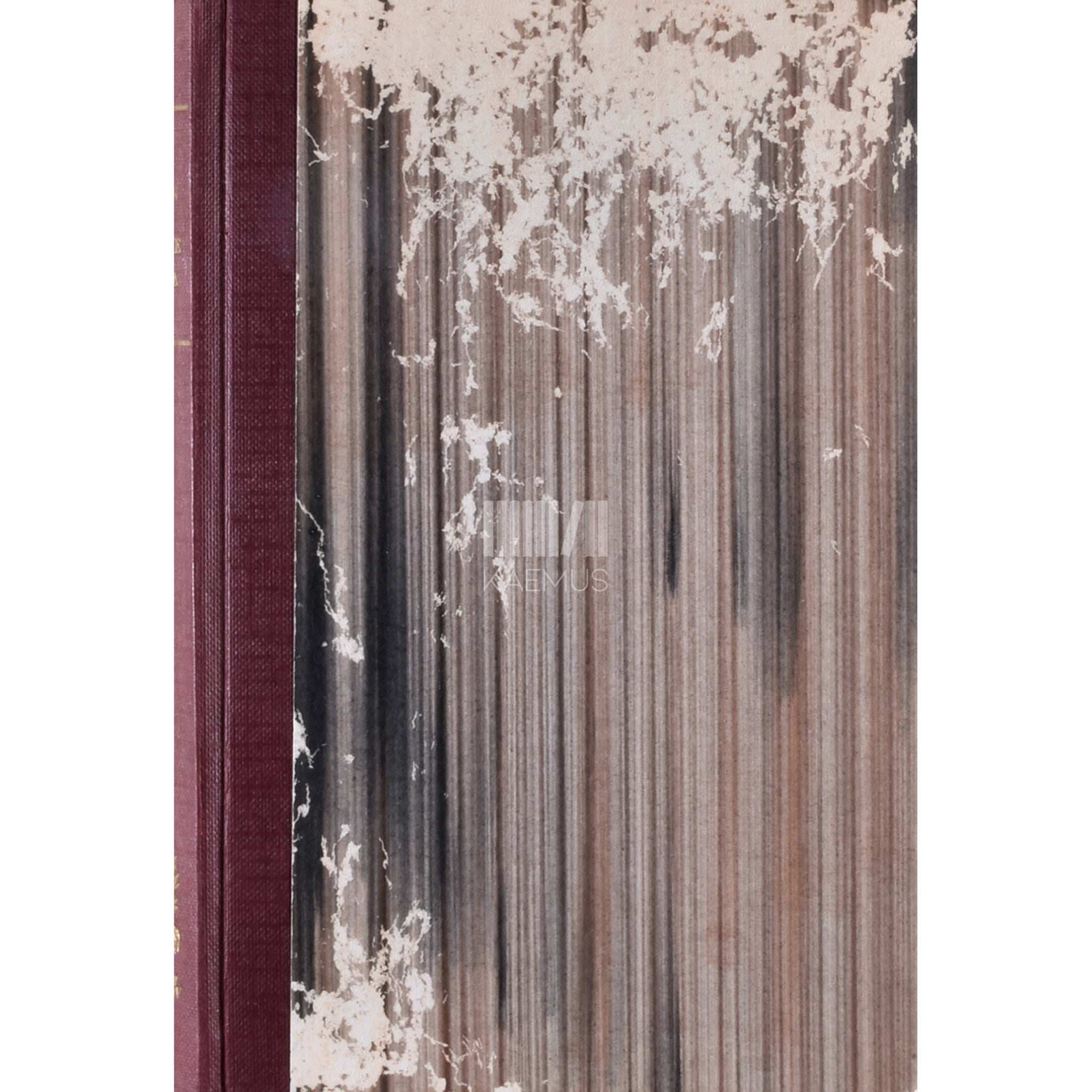 Pedro Krusten Inimese hoidja