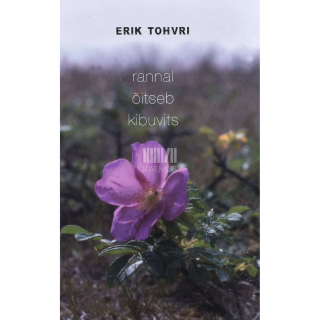 Erik Tohvri - Rannal õitseb kibuvits