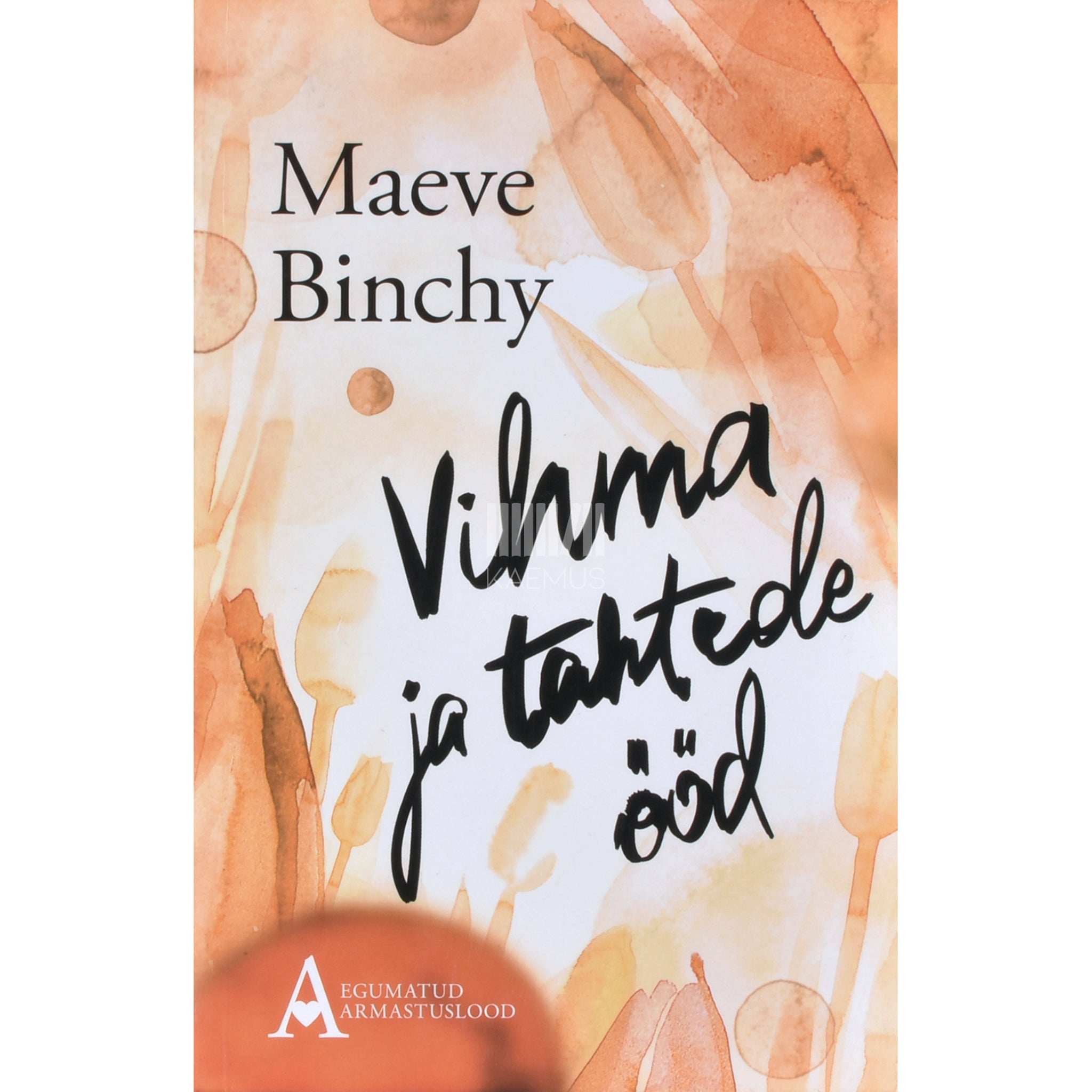 Maeve Binchy Vihma ja tähtede ööd