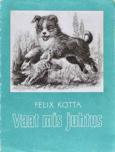 Vaat mis juhtus - Kaemus