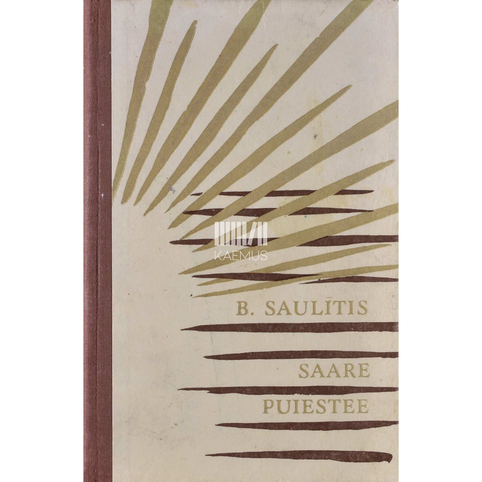 Bruno Saulitis - Saare puiestee