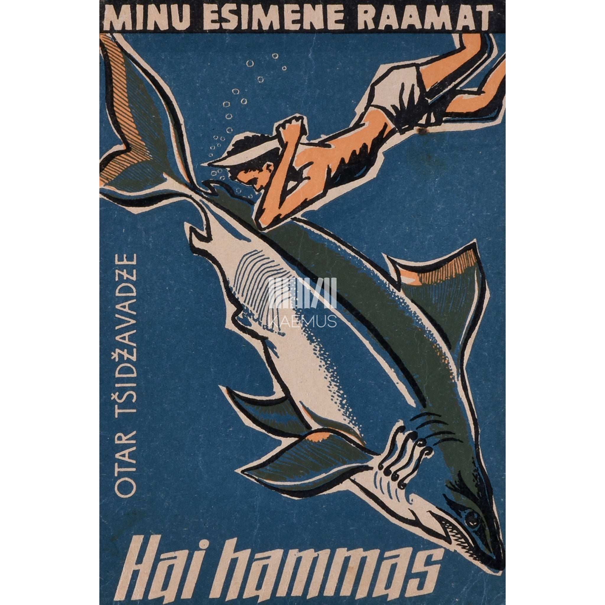 Otar Tšidžavadze Hai hammas