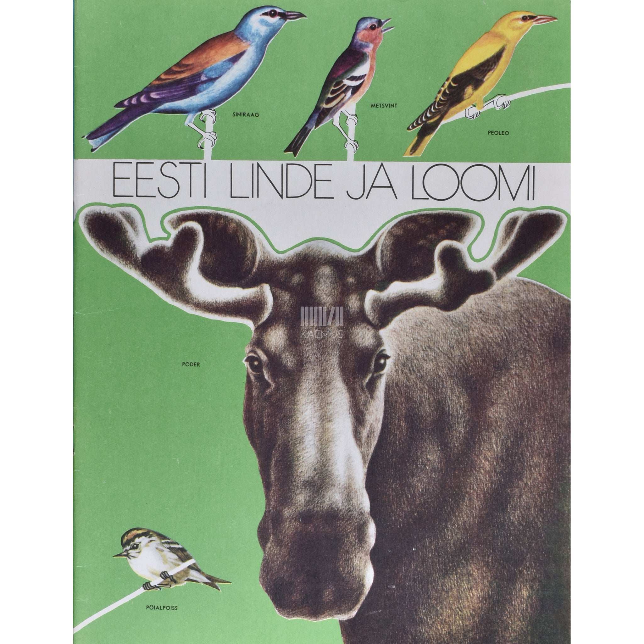 Fred Jüssi Eesti linde ja loomi