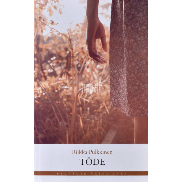 Riikka Pulkkinen - Tõde