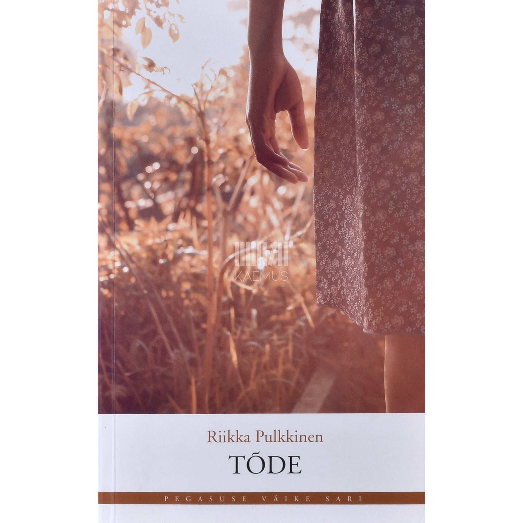 Riikka Pulkkinen Tõde