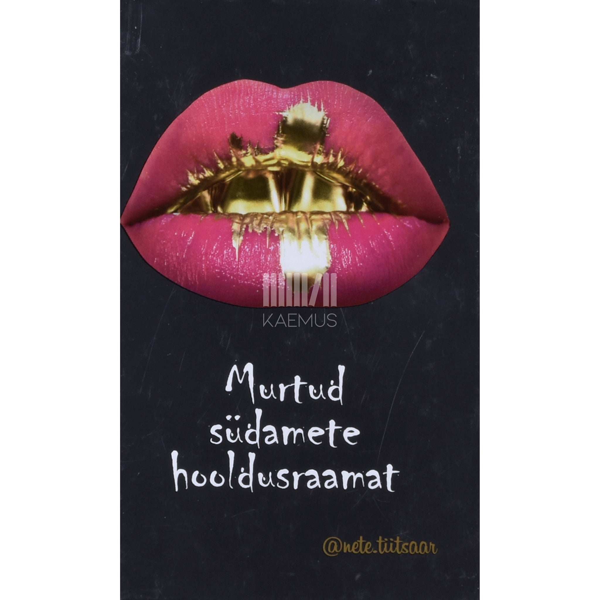 Nete Tiitsaar Murtud südamete hooldusraamat