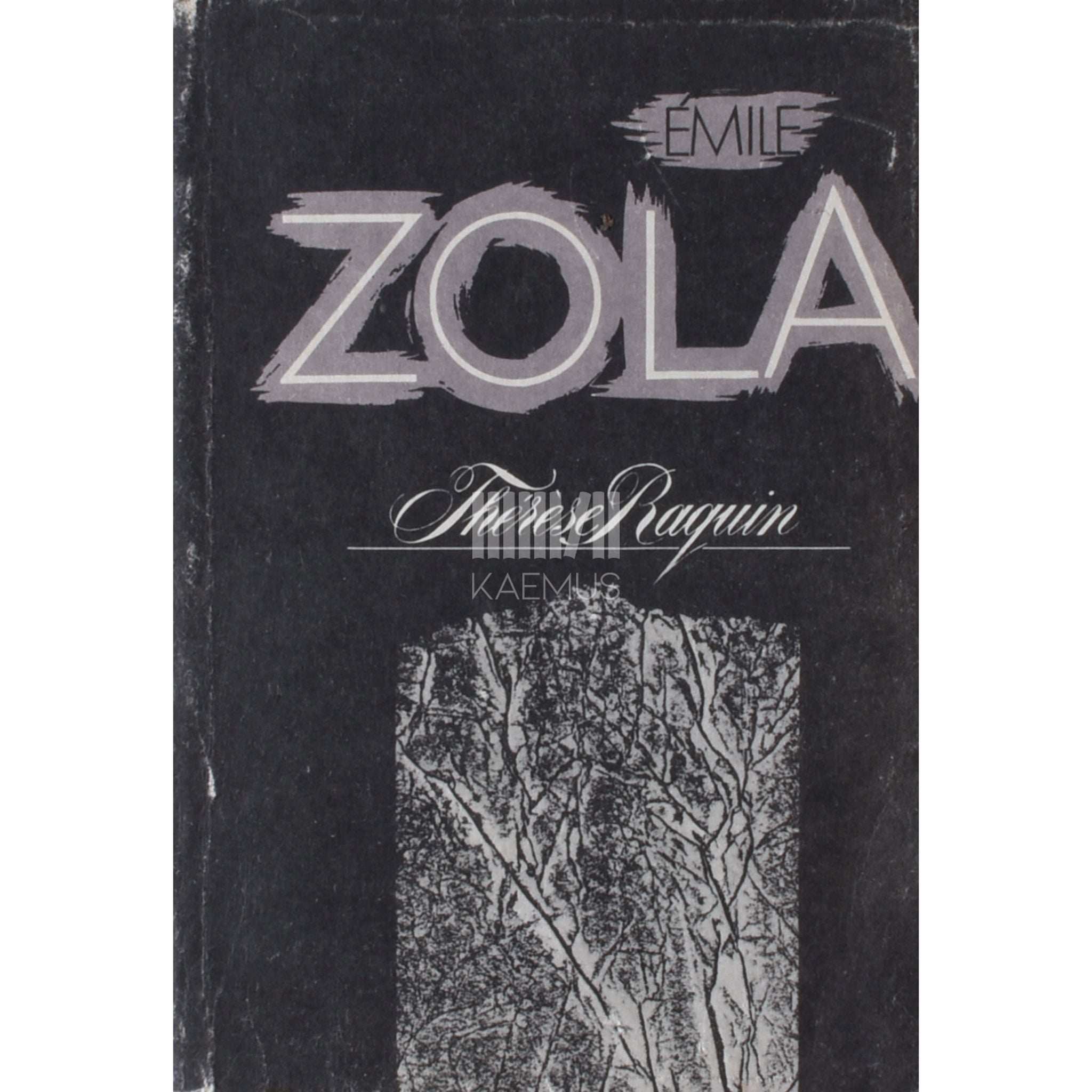 Emile Zola Thérèse Raquin