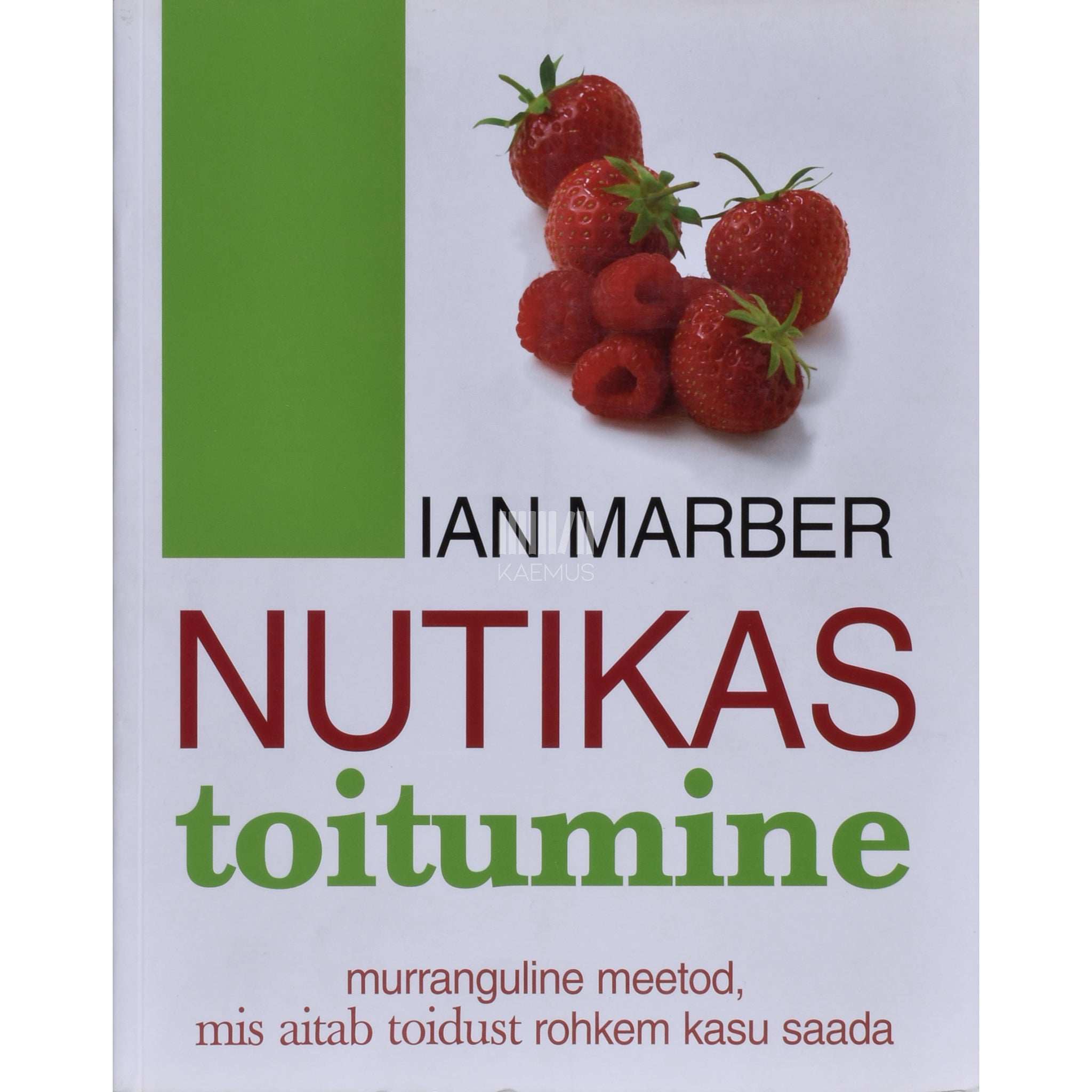Ian Marber Nutikas toitumine