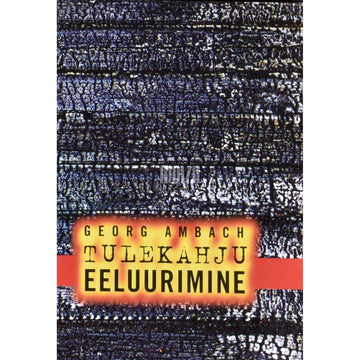 Georg Ambach - Tulekahju eeluurimine