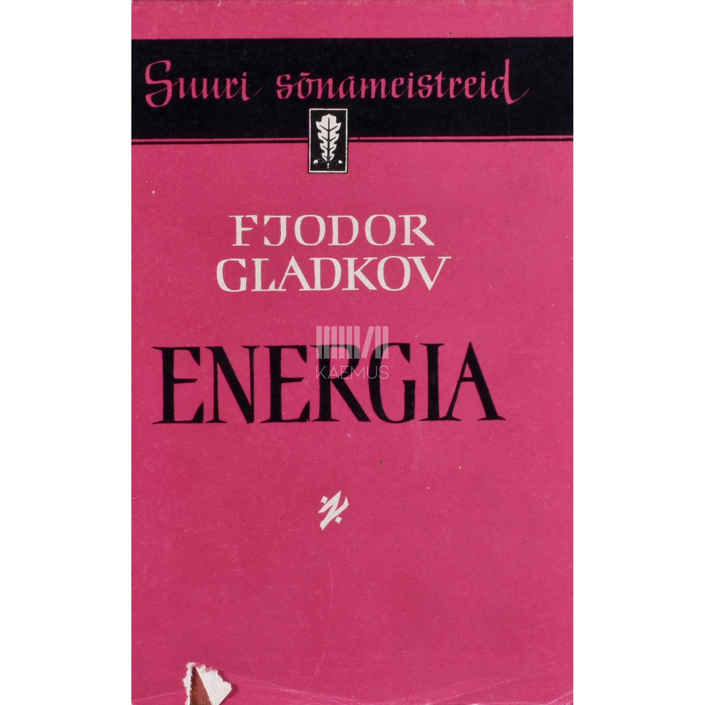 Fjodor Gladkov. Energia