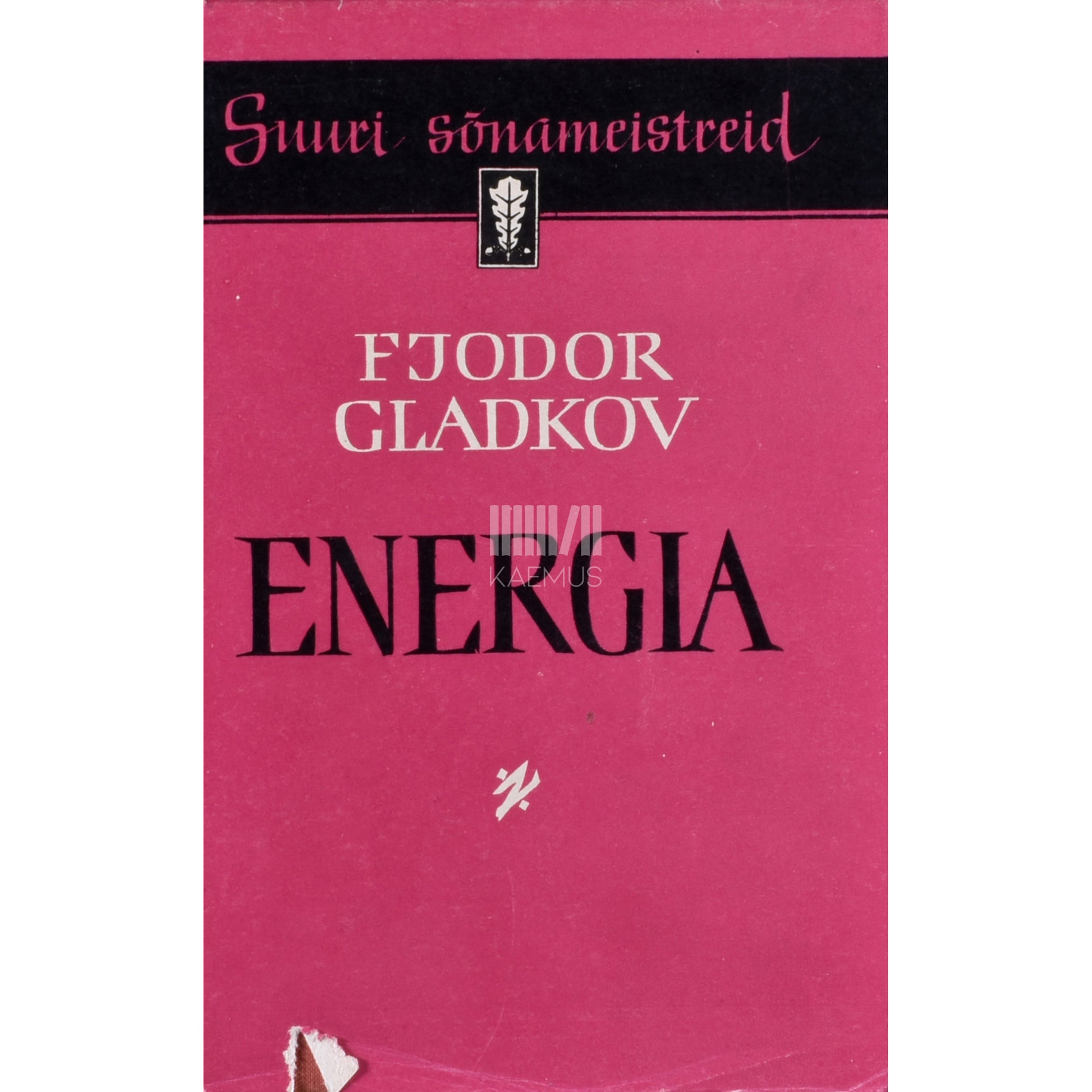 Fjodor Gladkov. Energia