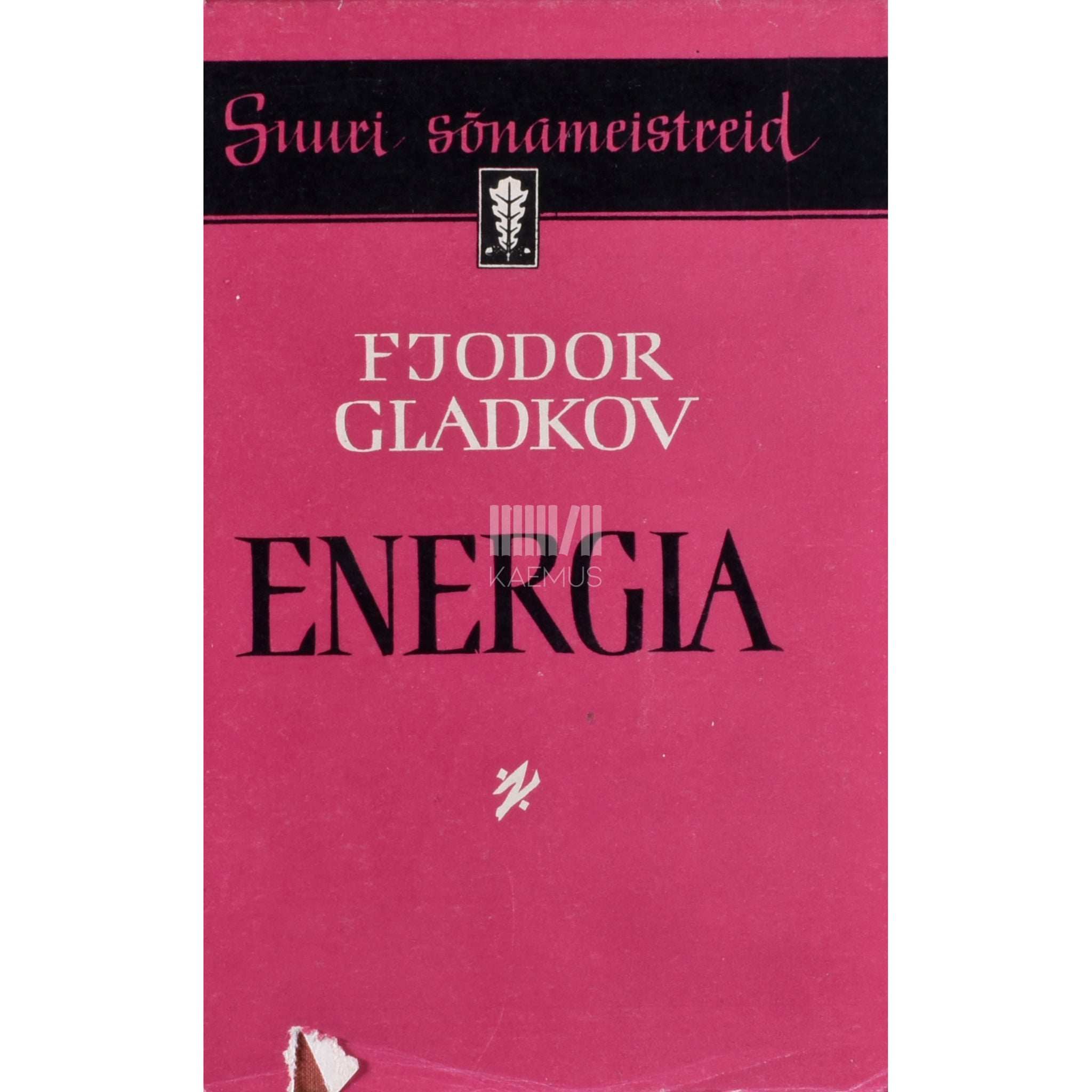 Fjodor Gladkov Energia