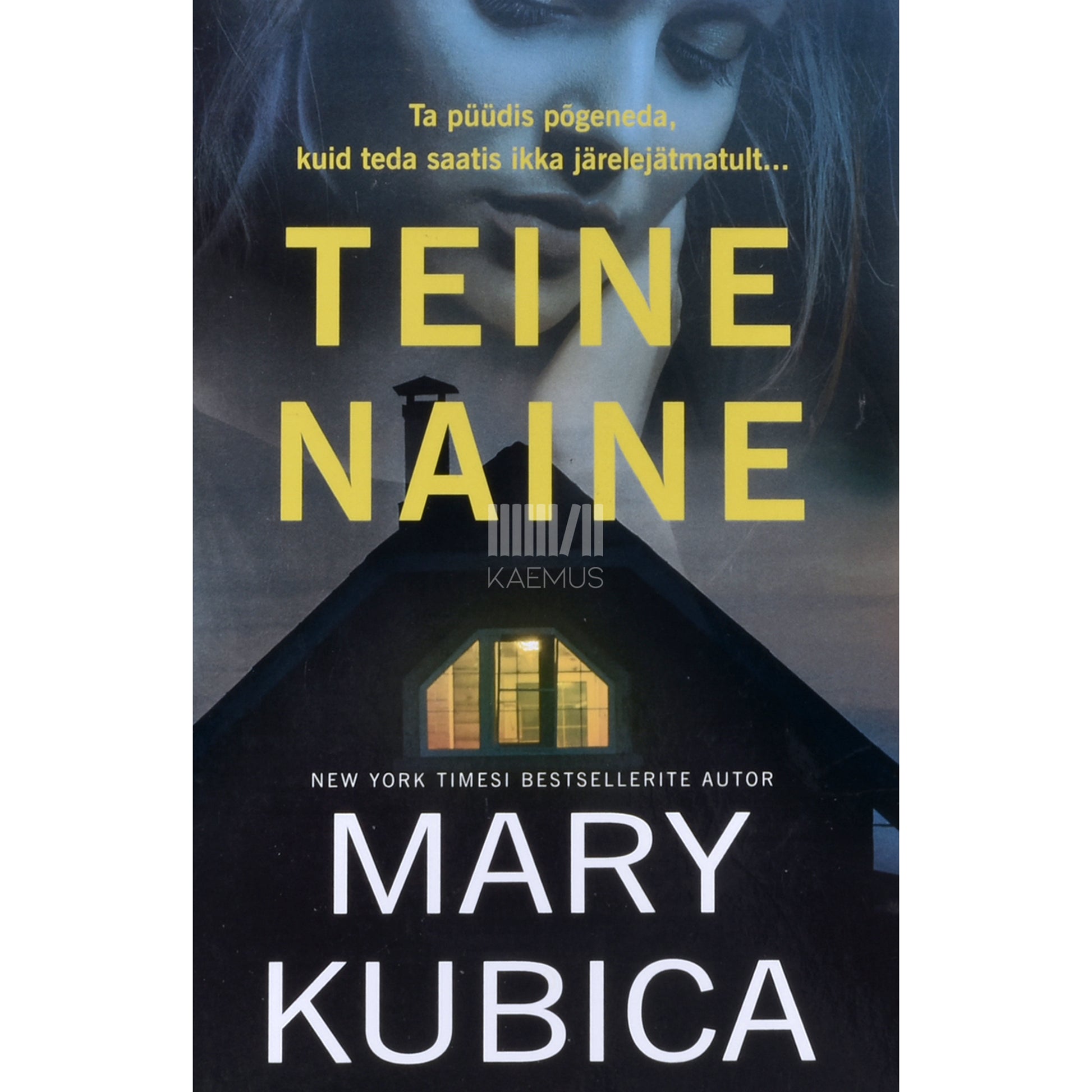 Mary Kubica. Teine naine