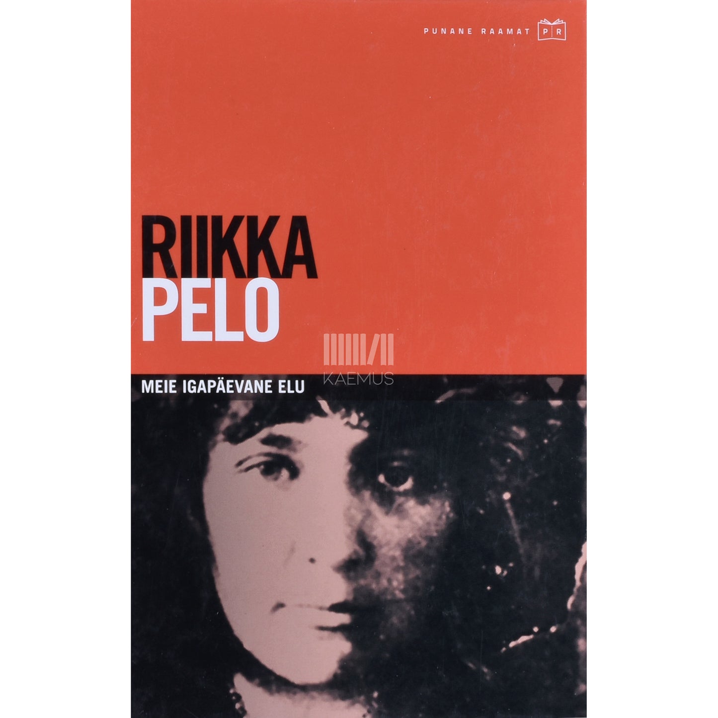 Riikka Pelo. Meie igapäevane elu