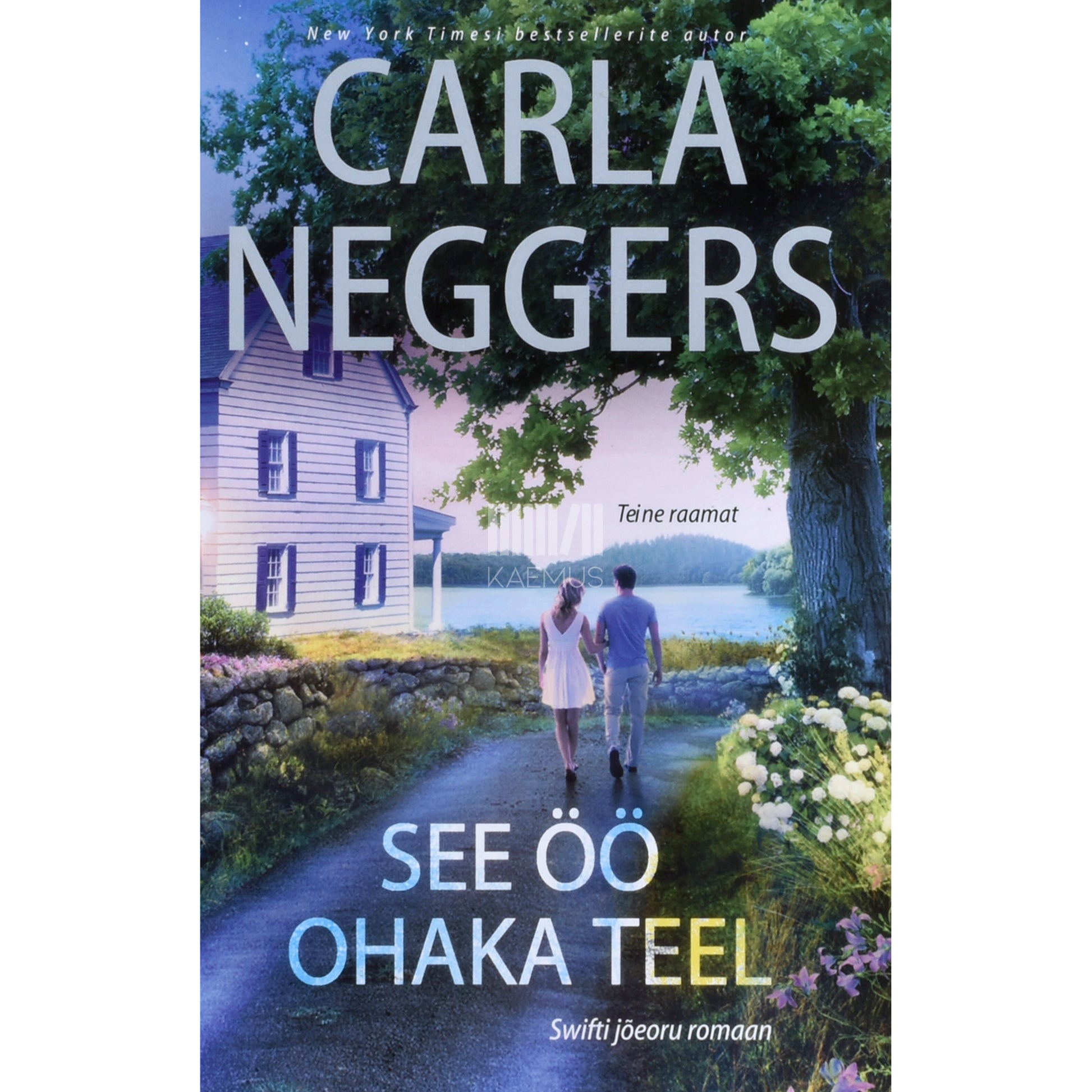 Carla Neggers. See öö Ohaka teel. Swifti jõeorg 2. osa
