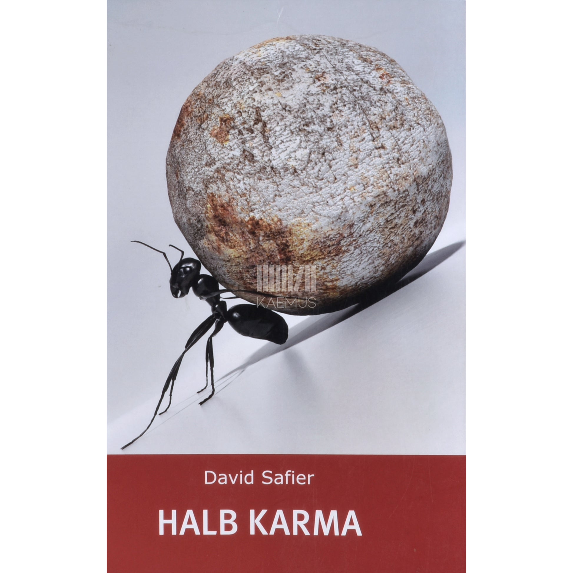 David Safier. Halb karma