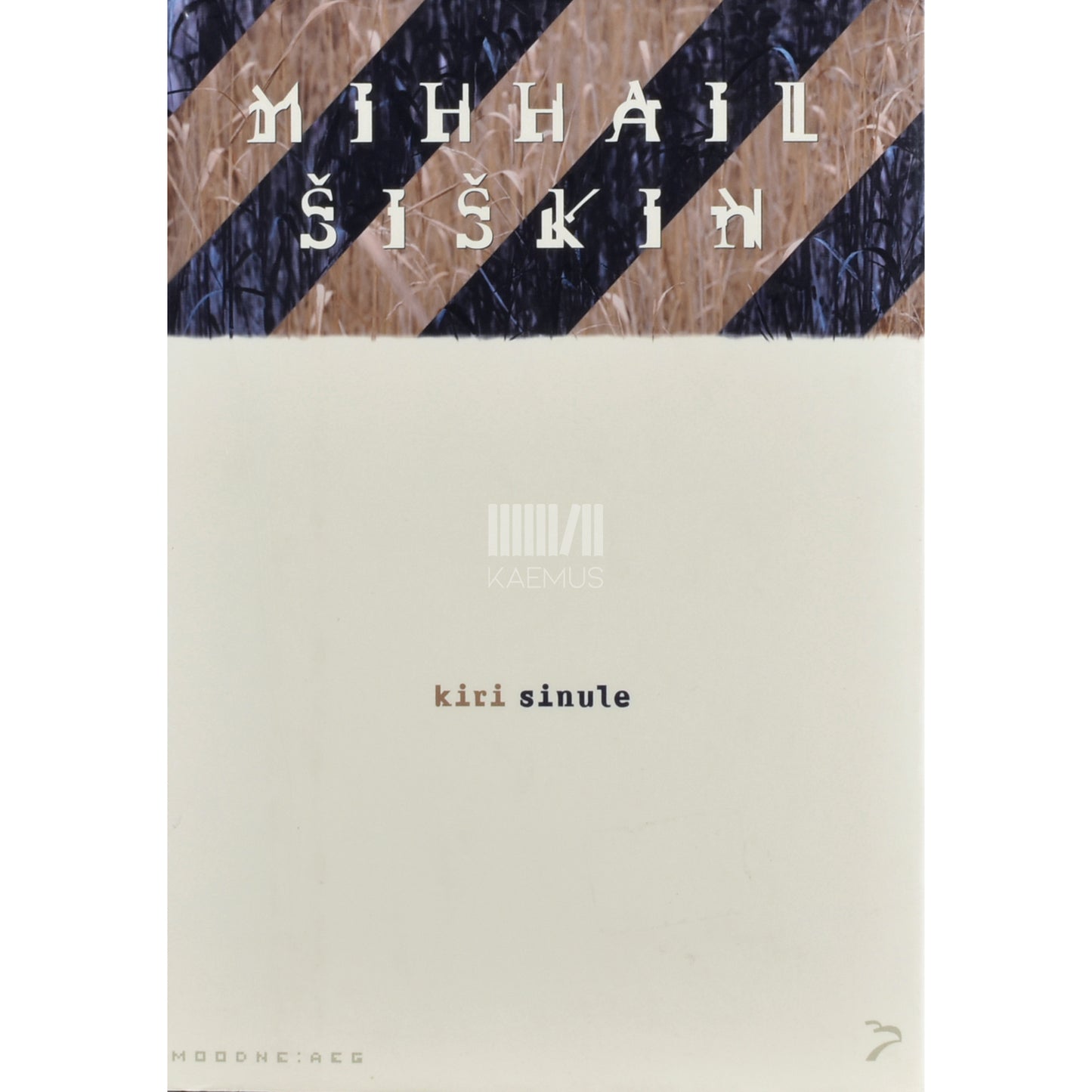 Mihhail Šiškin. Kiri sinule