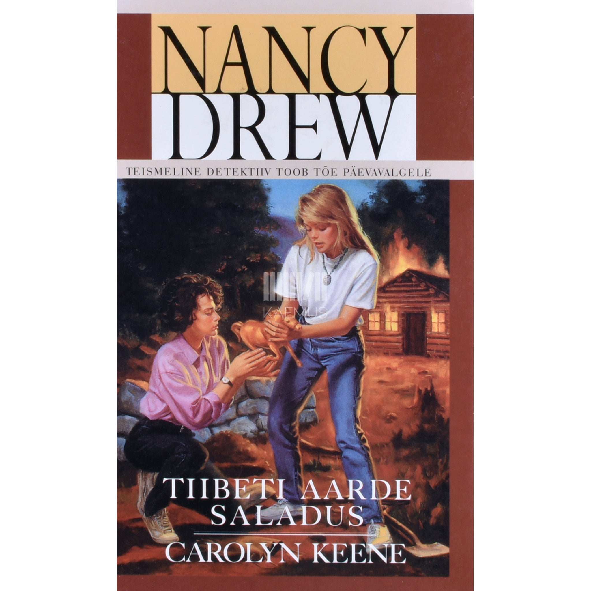 Carolyn Keene Tiibeti aarde saladus