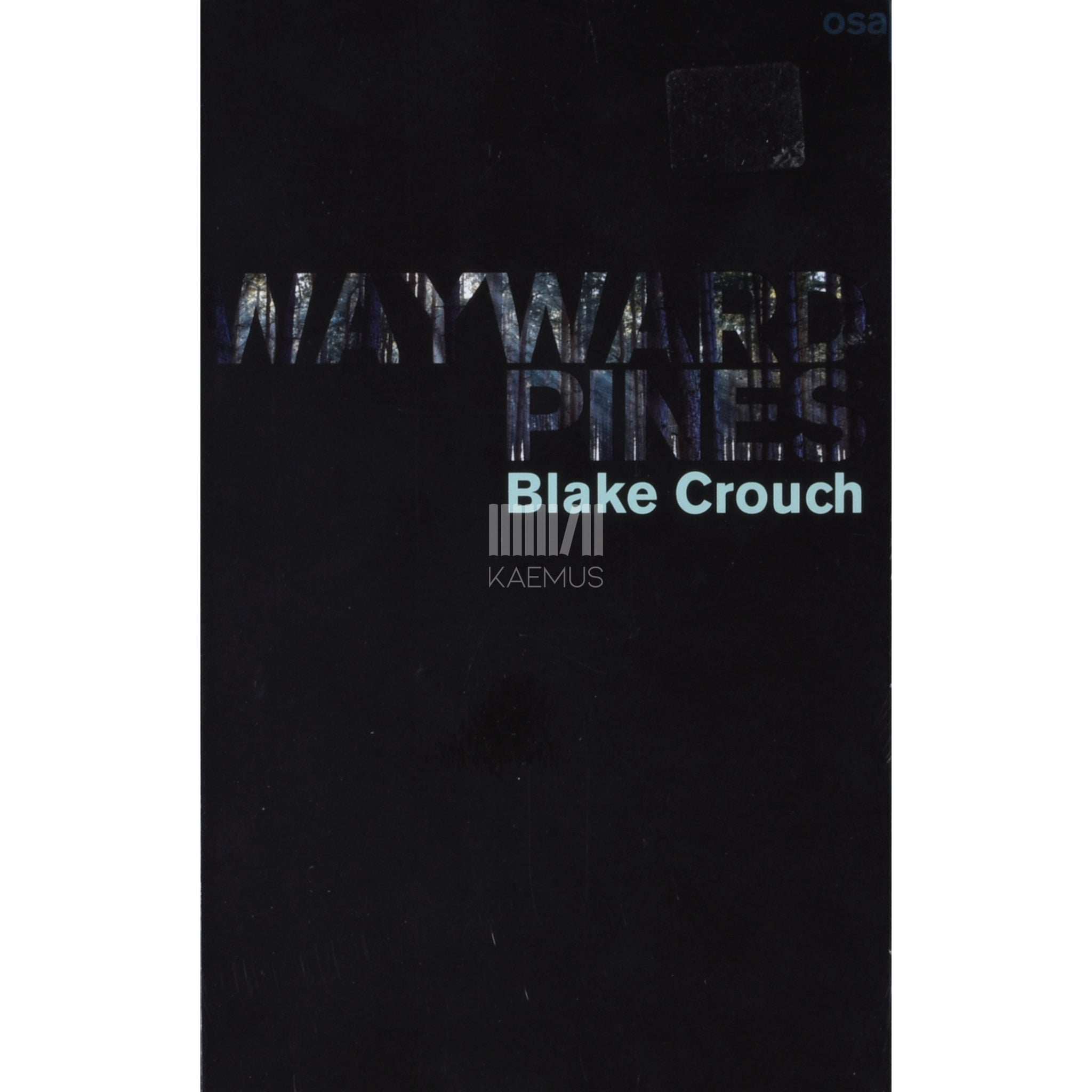 Blake Crouch Wayward Pines 1. osa