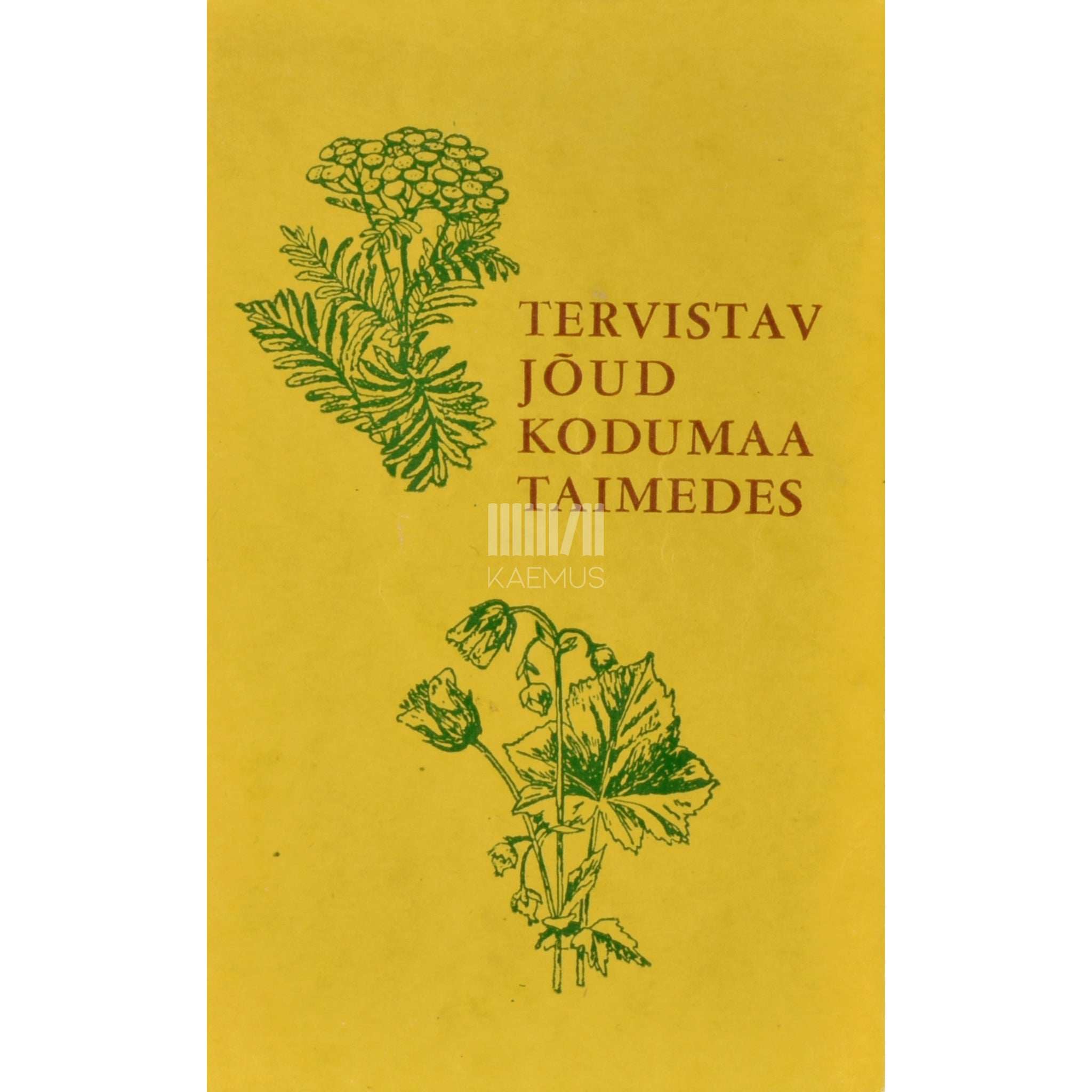 E. Neppi Tervistav jõud kodumaa taimedes