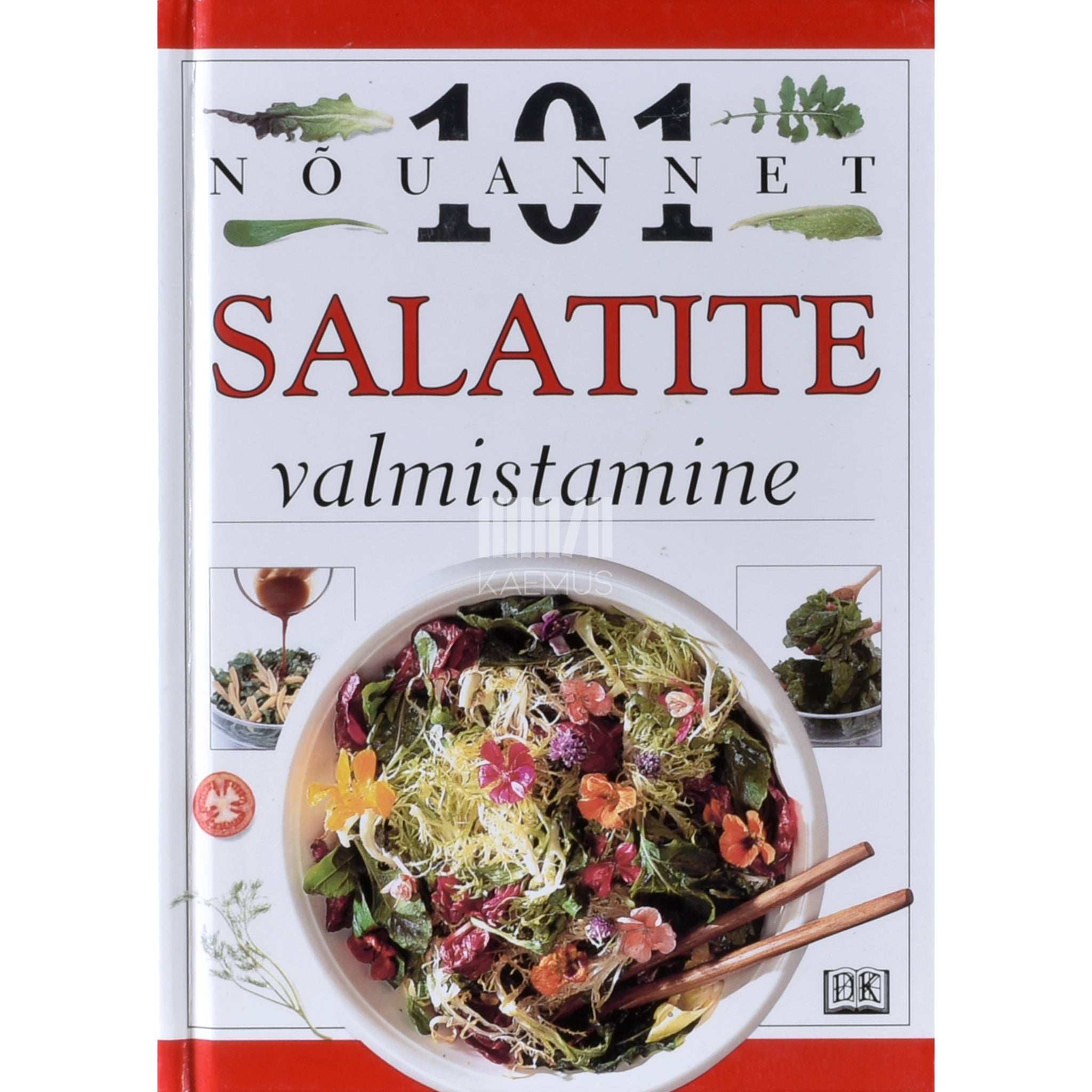 Anne Willan Salatite valmistamine