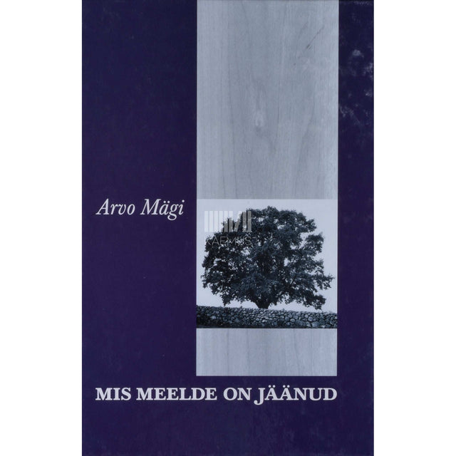 Arvo Mägi - Mis meelde on jäänud