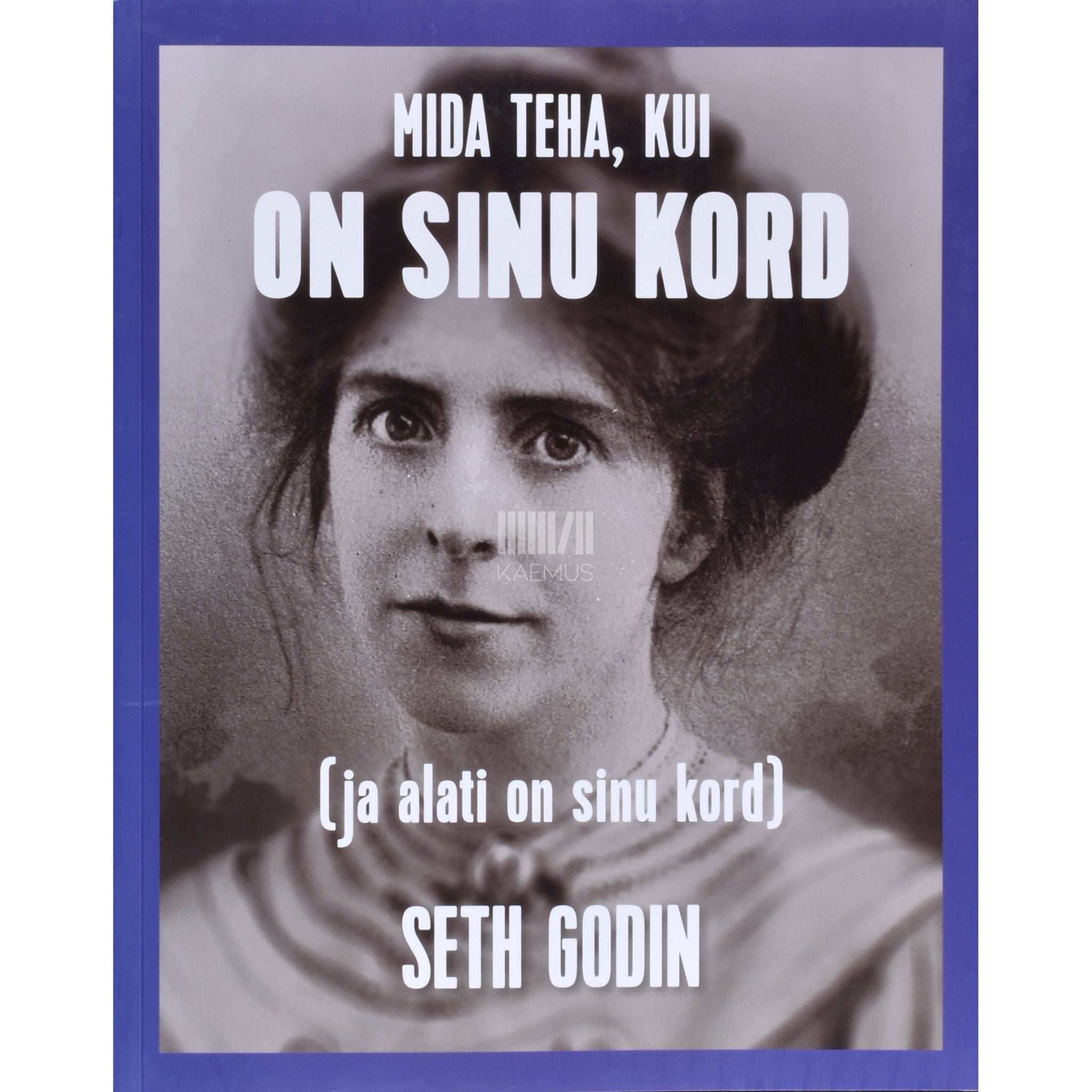 Seth Godin Mida teha, kui on sinu kord (ja alati on sinu kord)