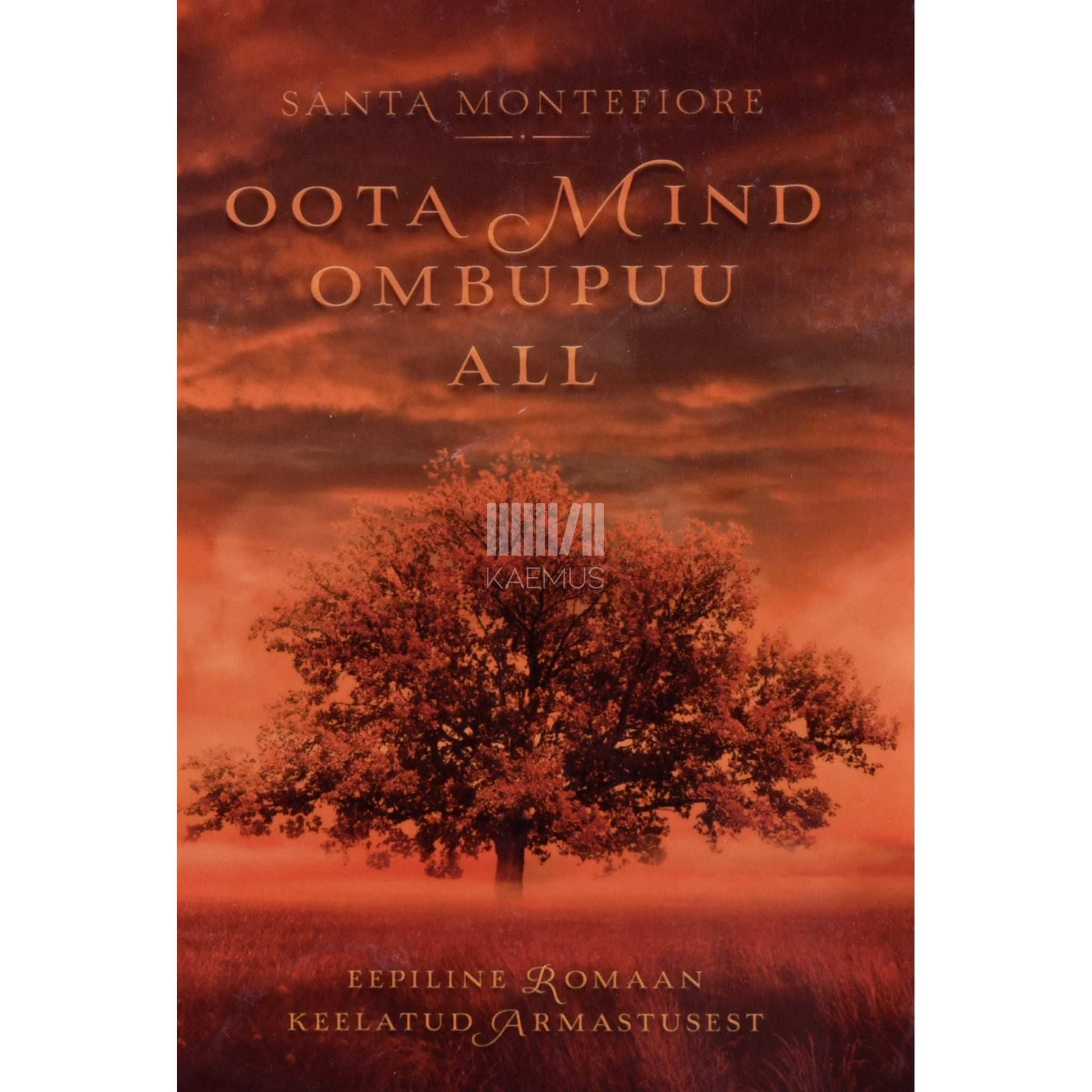 Santa Montefiore - Oota mind ombupuu all