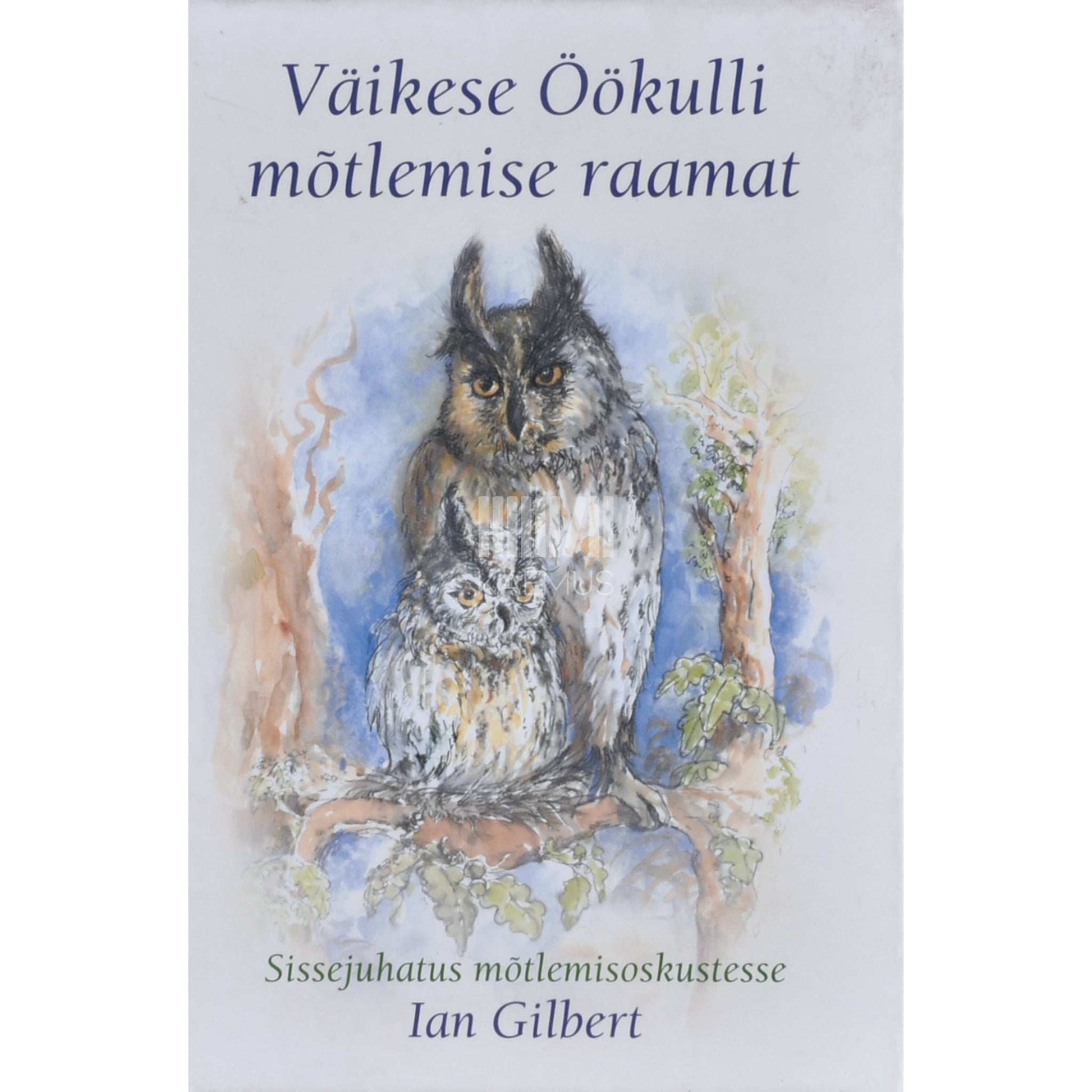 Ian Gilbert - Väikese Öökulli mõtlemise raamat