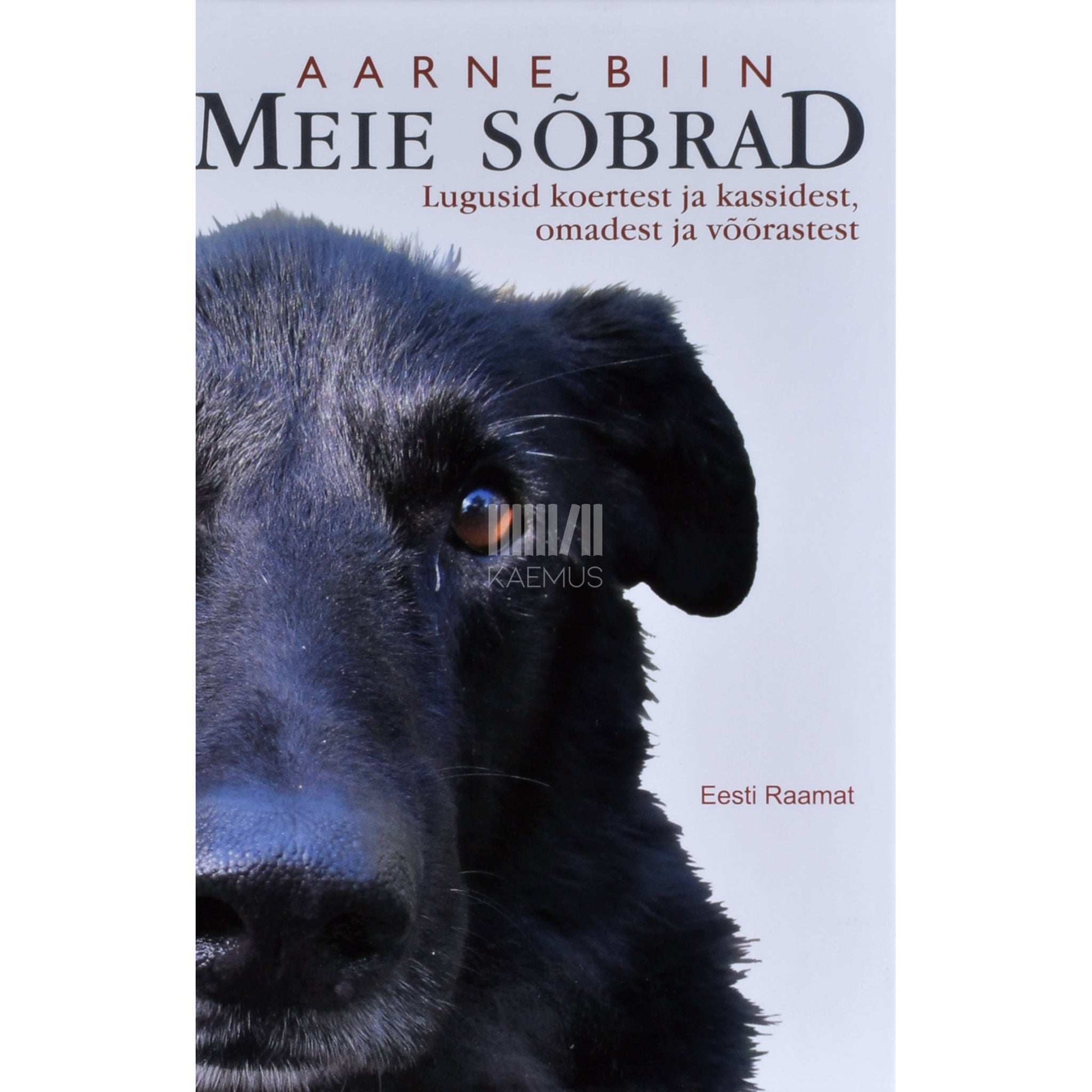 Aarne Biin - Meie sõbrad