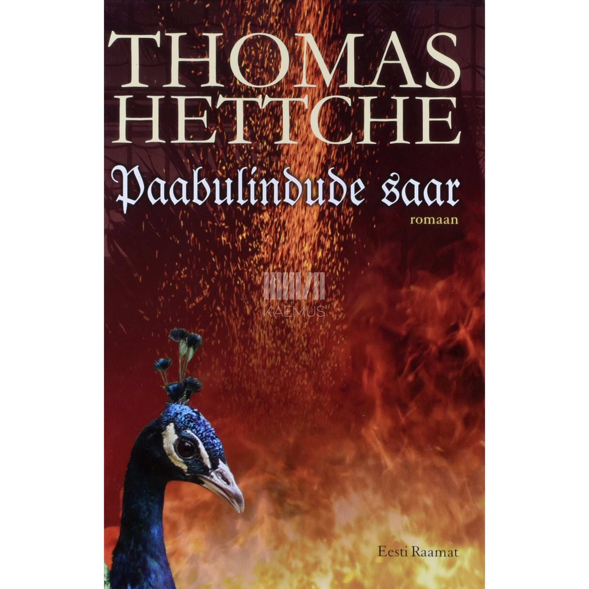 Thomas Hettche Paabulindude saar