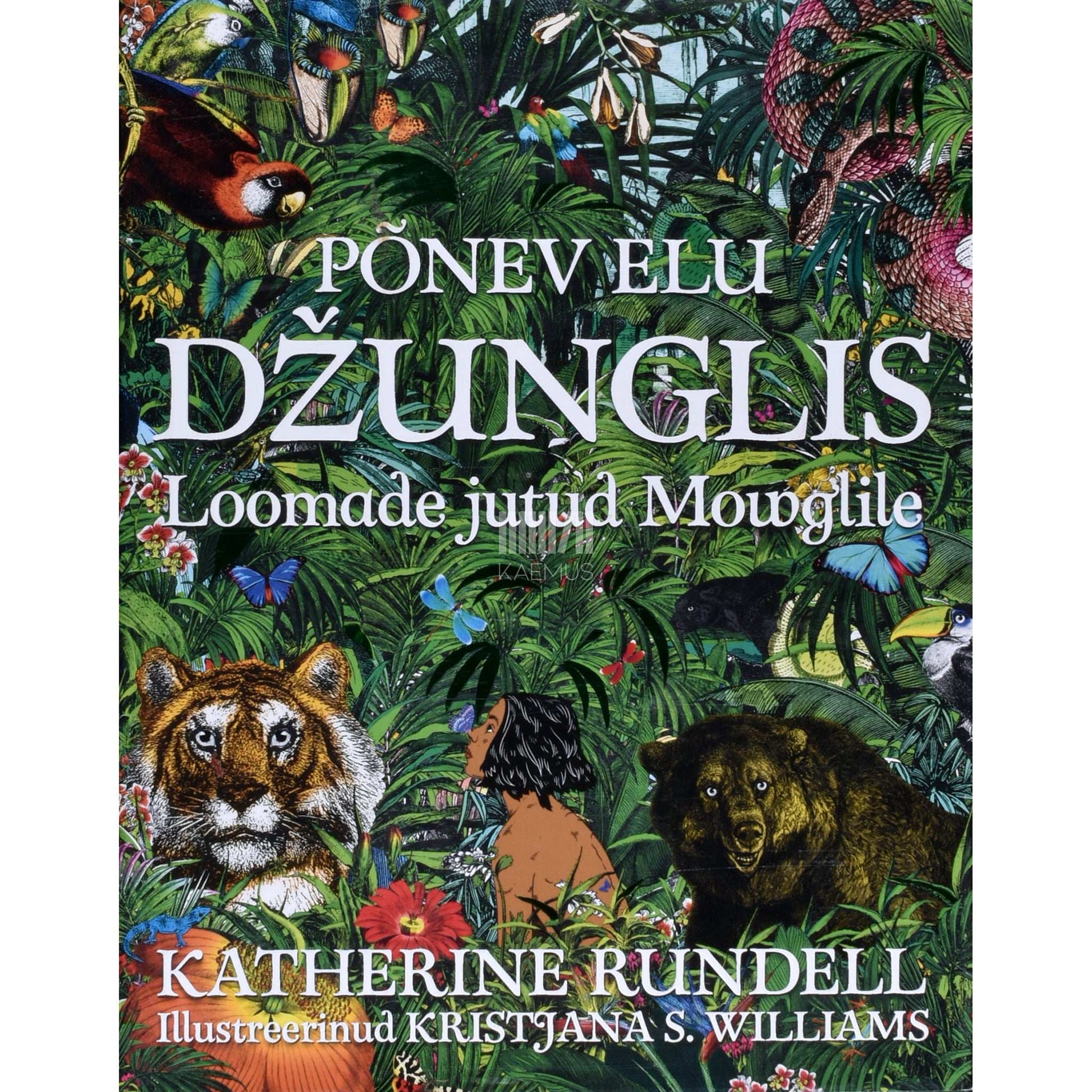 Katherine Rundell - Põnev elu džunglis