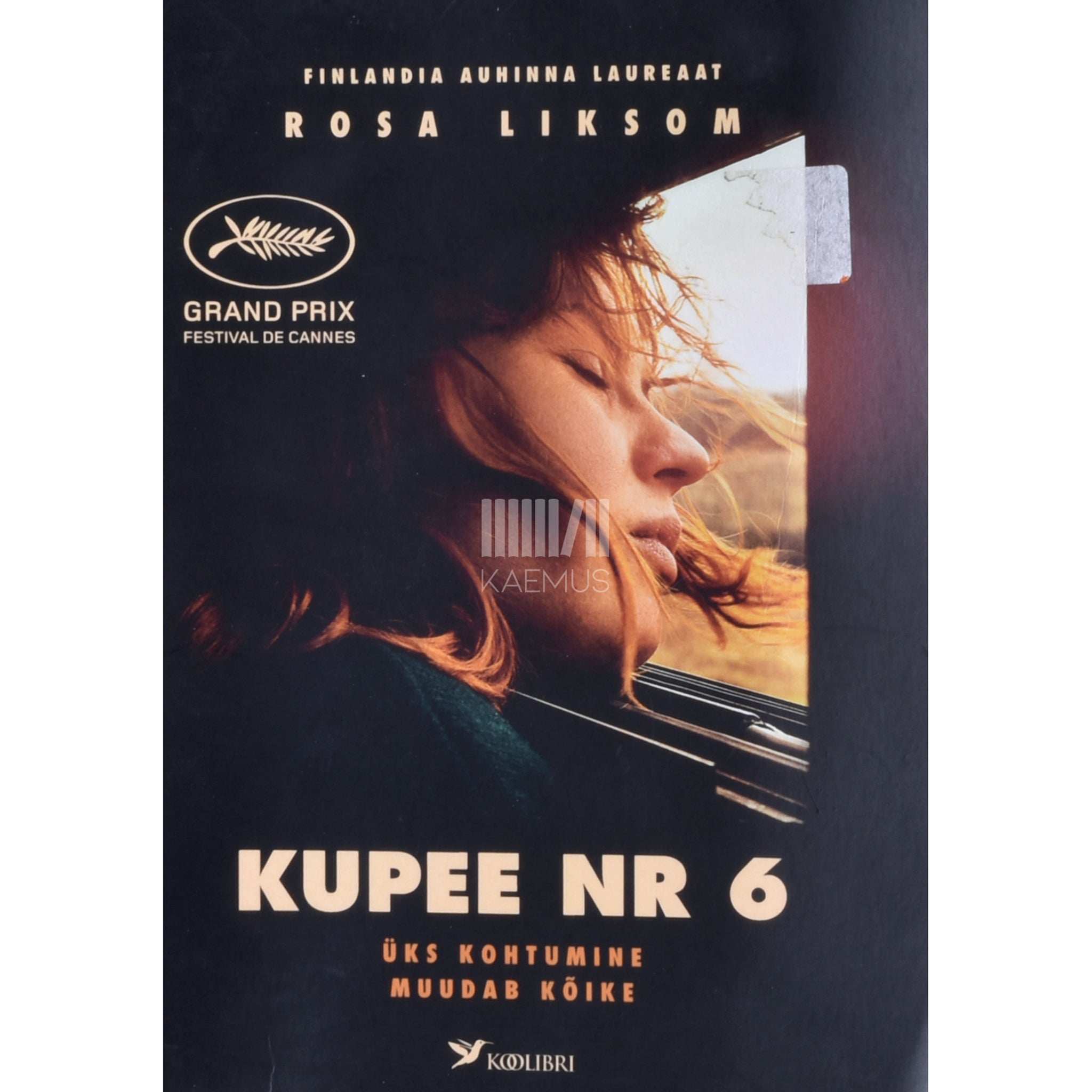 Rosa Liksom Kupee nr 6