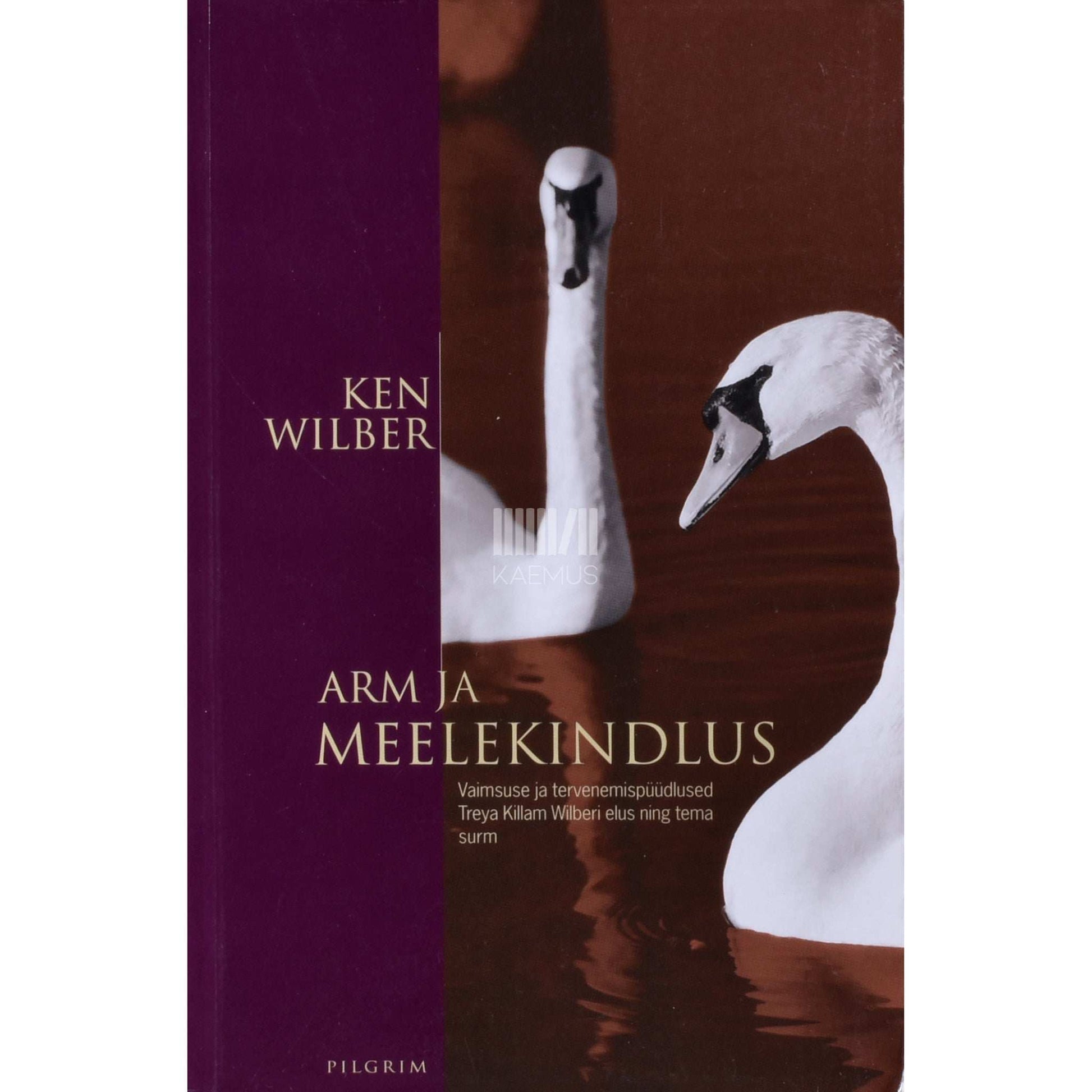 Ken Wilber - Arm ja meelekindlus