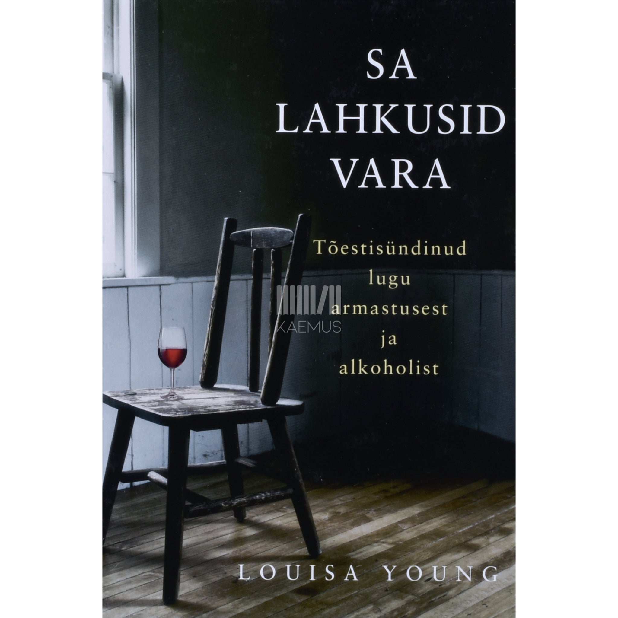 Louisa Young Sa lahkusid vara