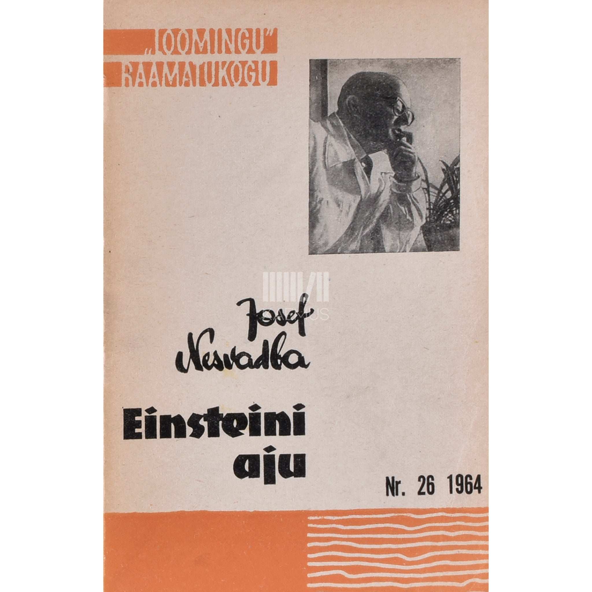 Josef Nesvadba Einsteini aju