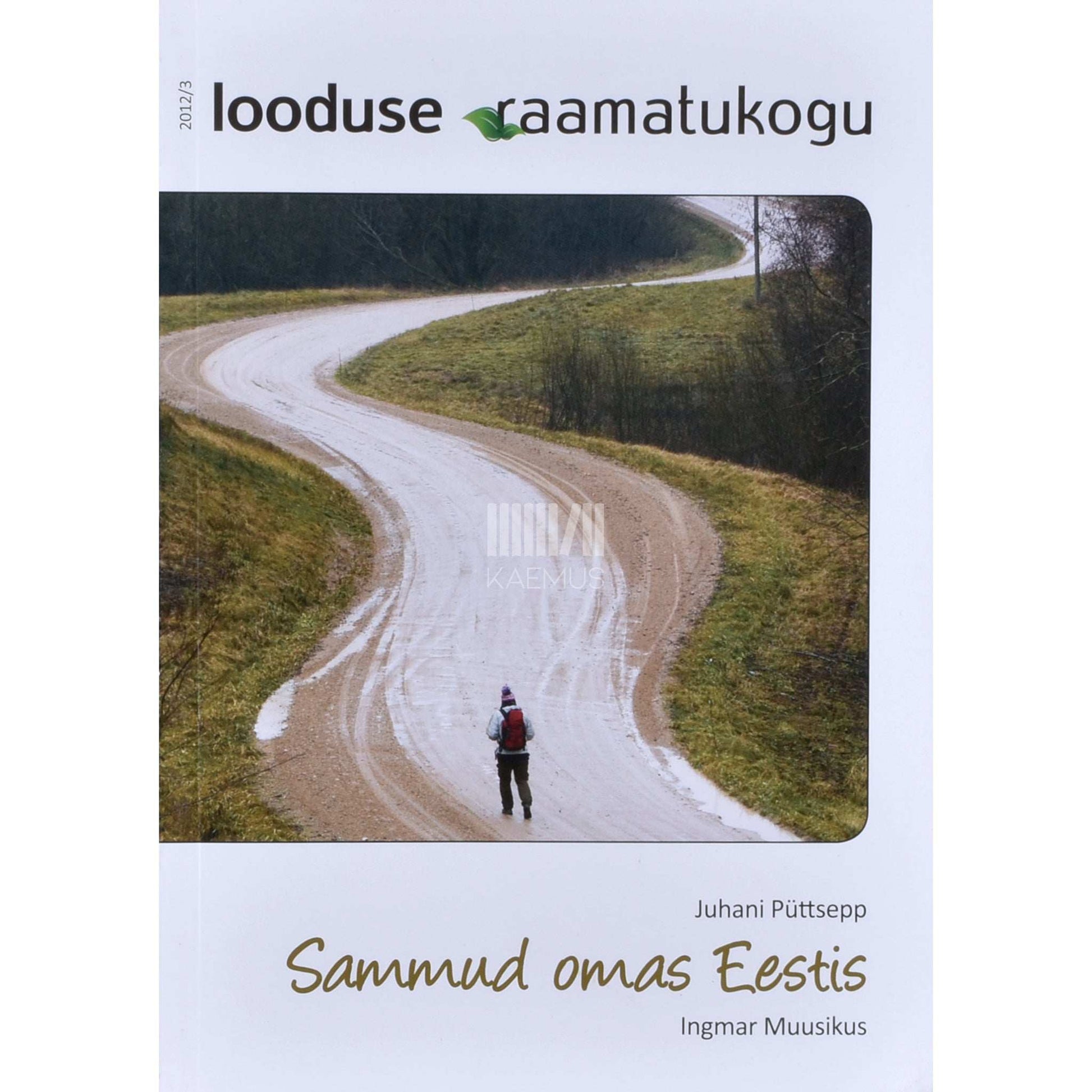Juhani Püttsepp, Ingmar Muusikus - Sammud omas Eestis