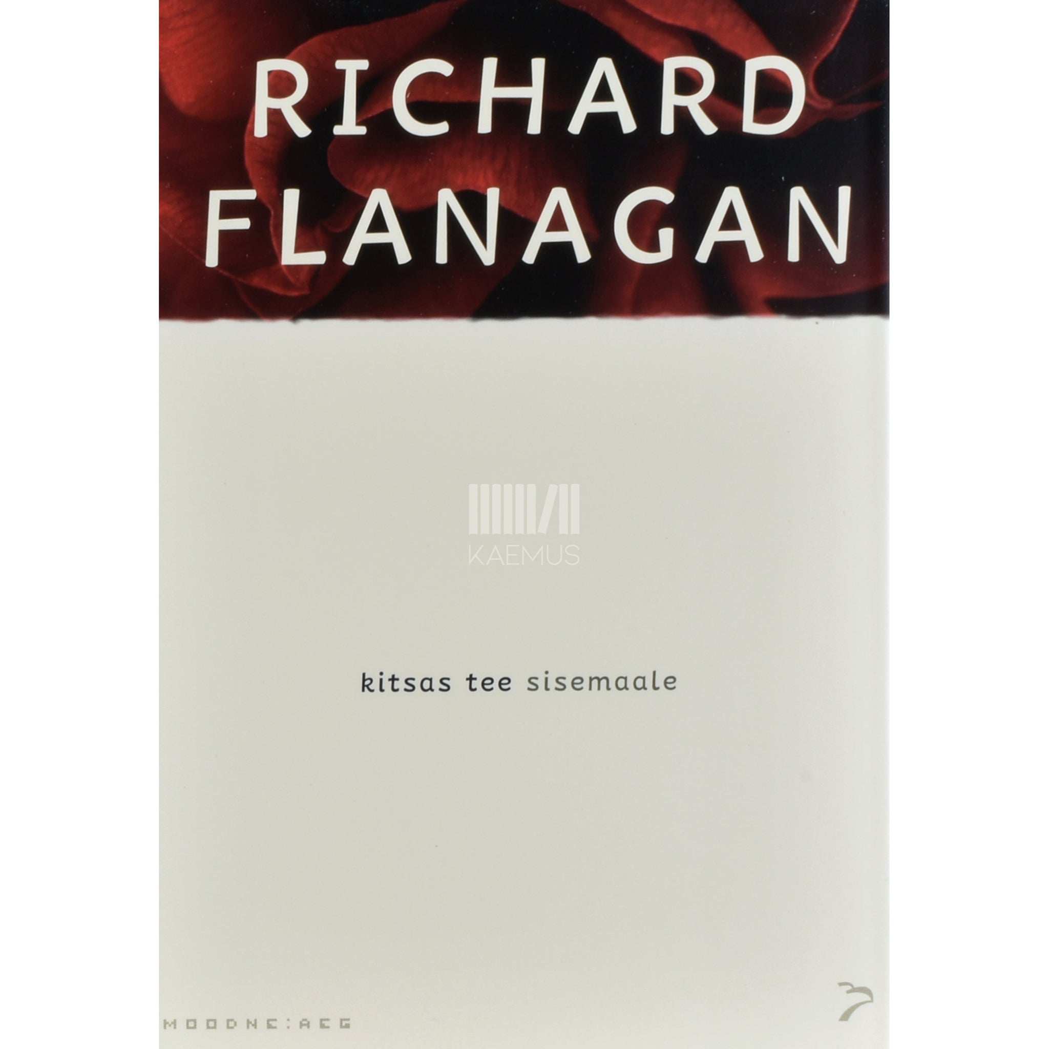 Richard Flanagan Kitsas tee sisemaale