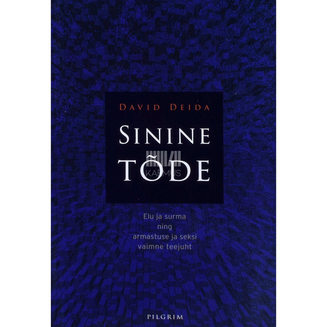 David Deida - Sinine tõde
