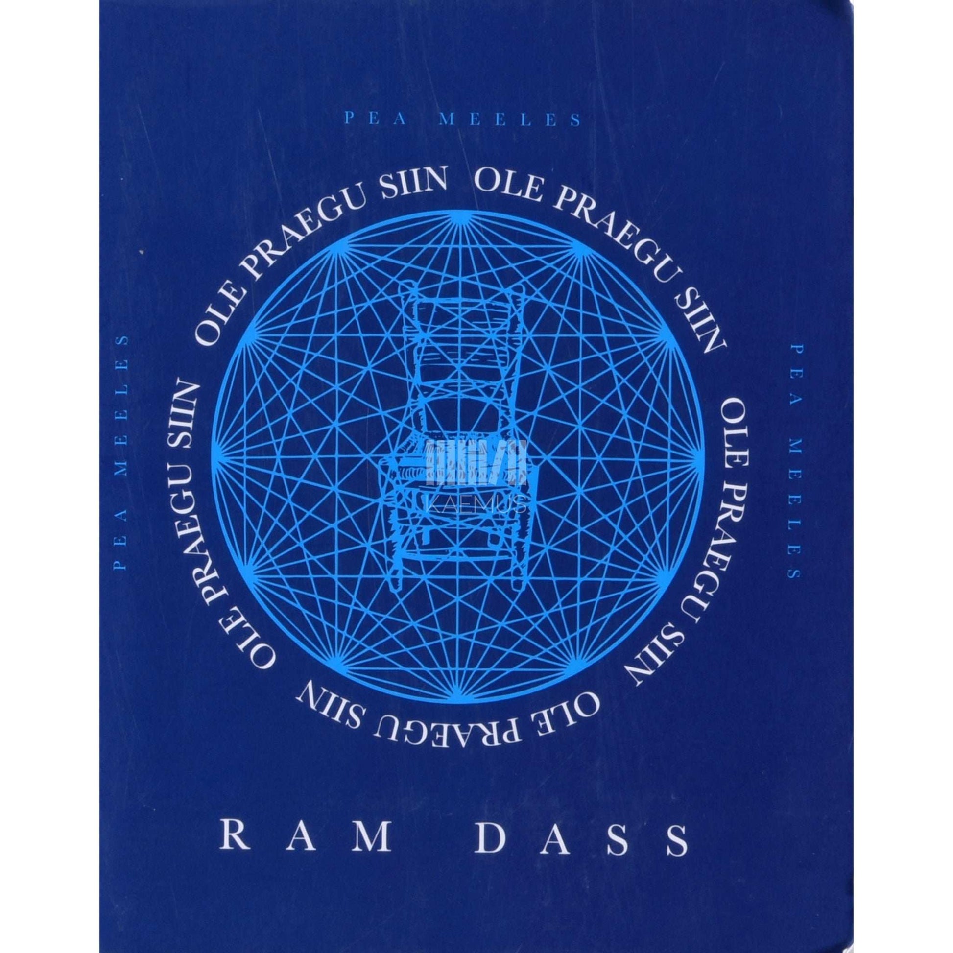 Ram Dass - Pea meeles. Ole praegu siin